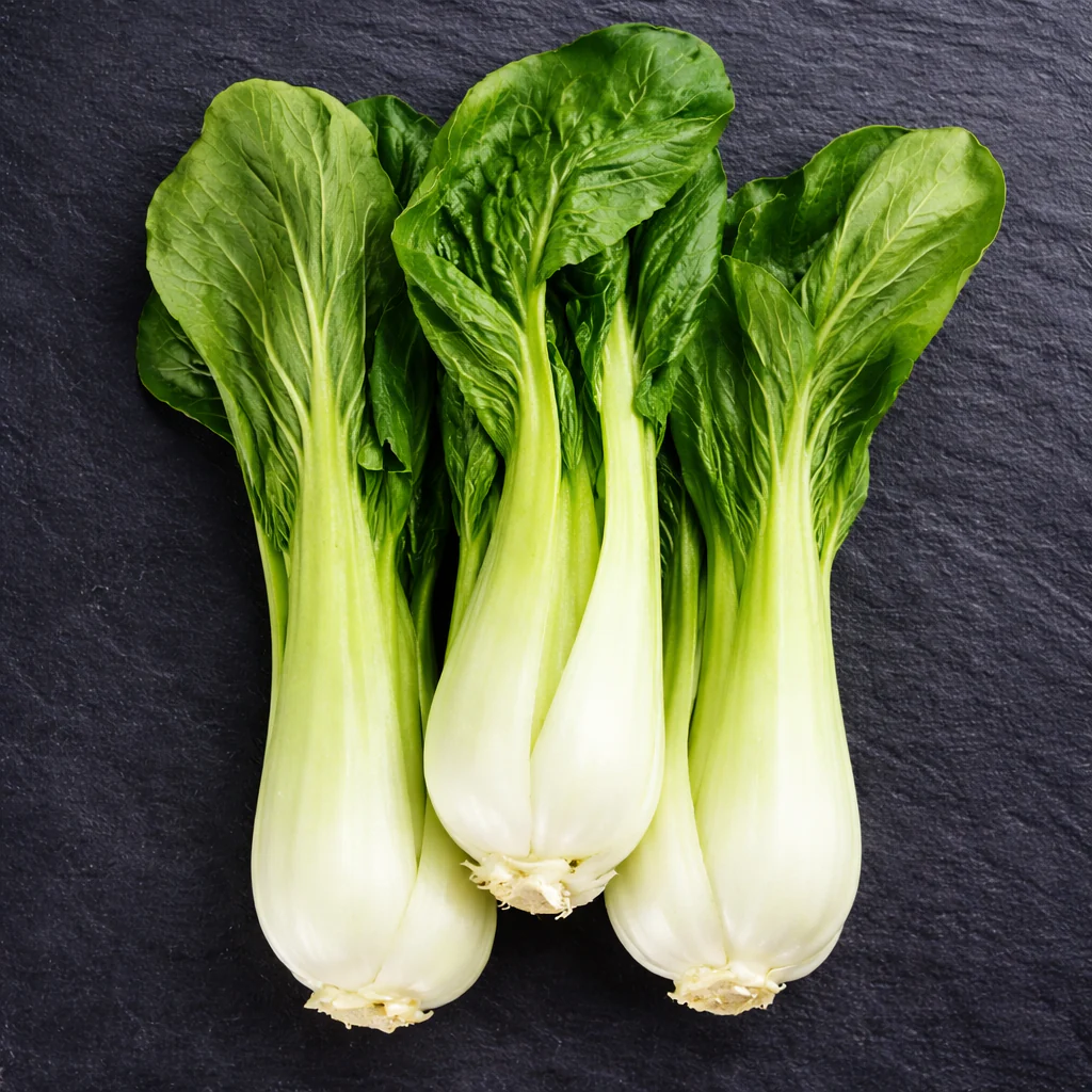 Chou chinois 'Baby Pak Choi' bio