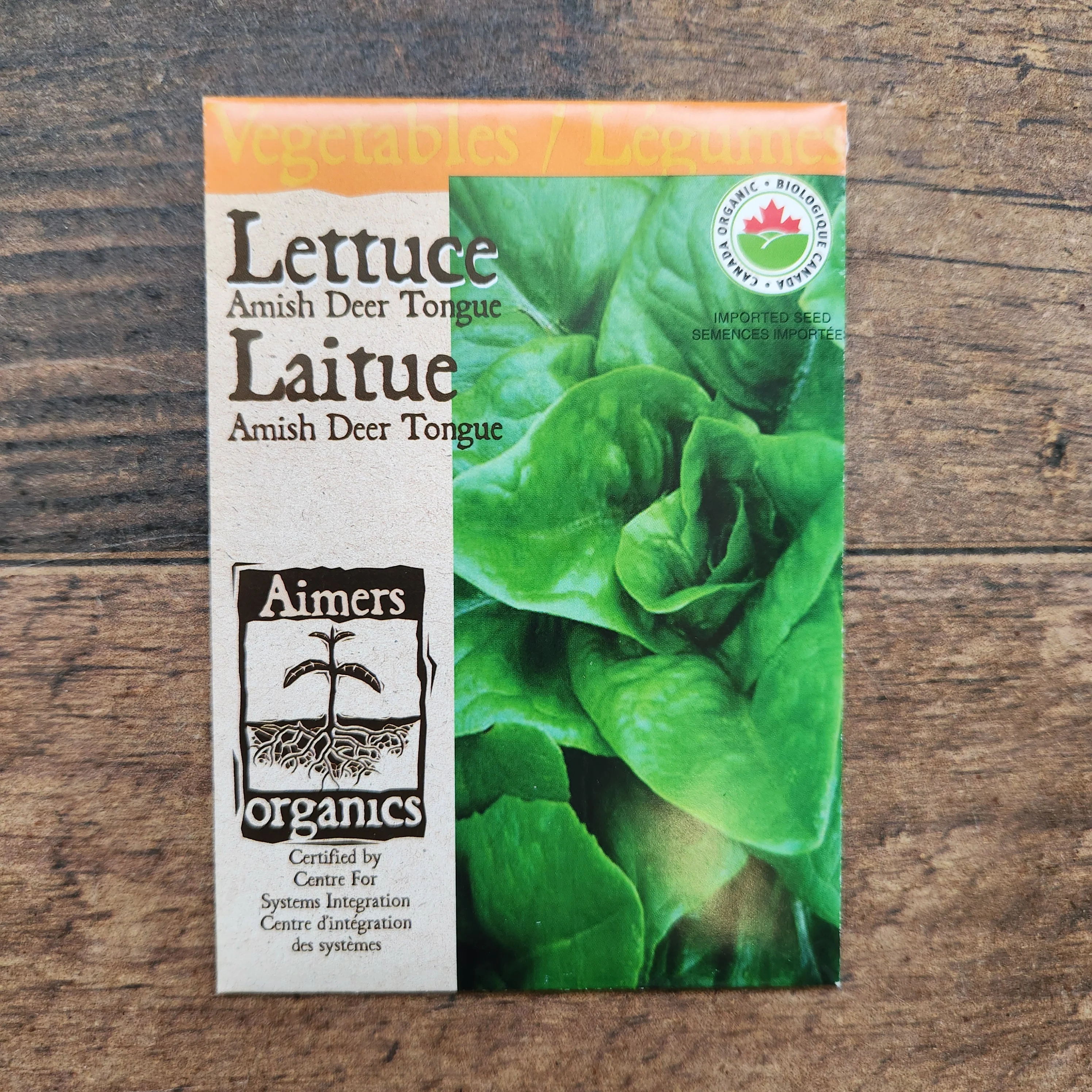 Laitue 'Amish Deer Tongue' bio
