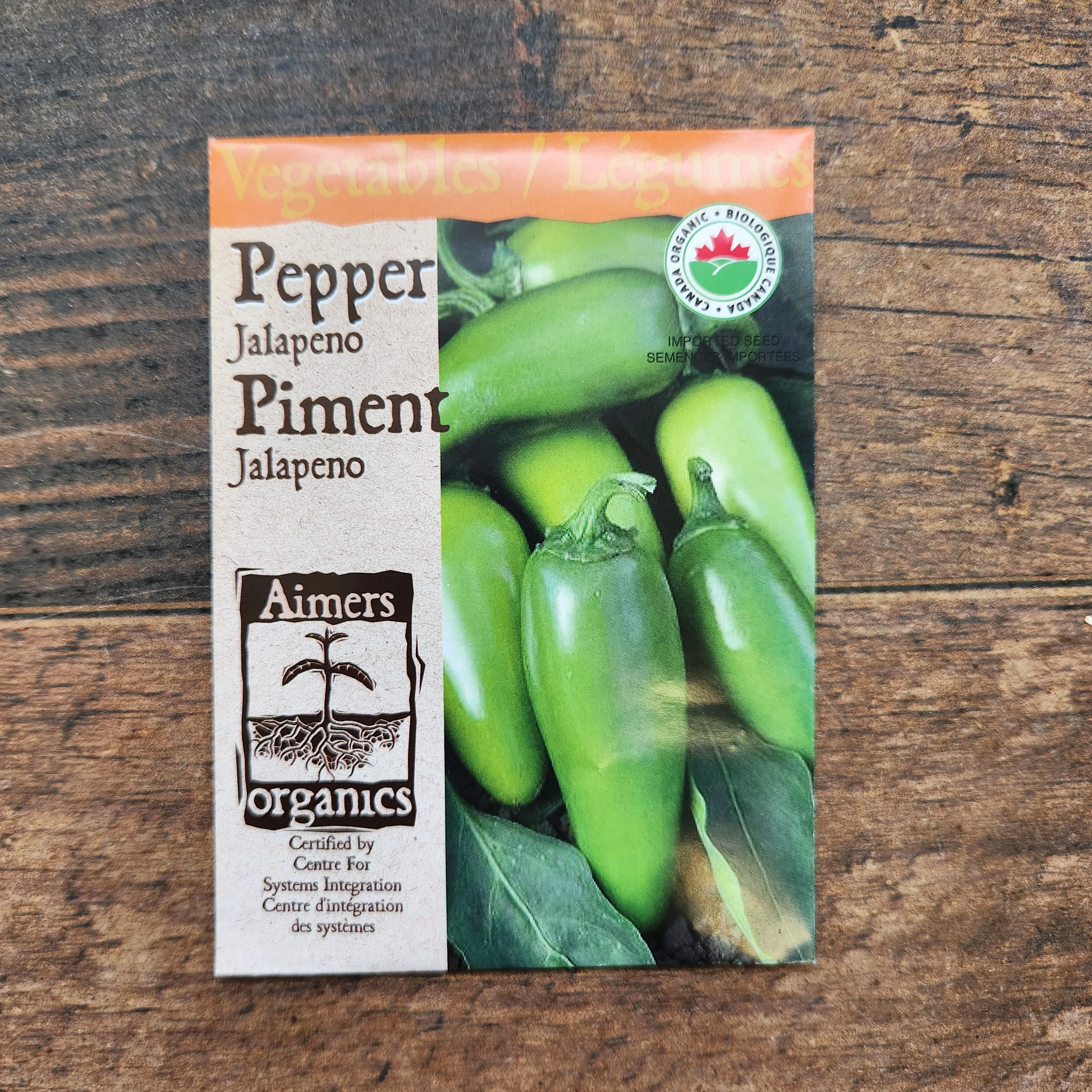 Piment fort 'Jalapeno' bio - Image 2