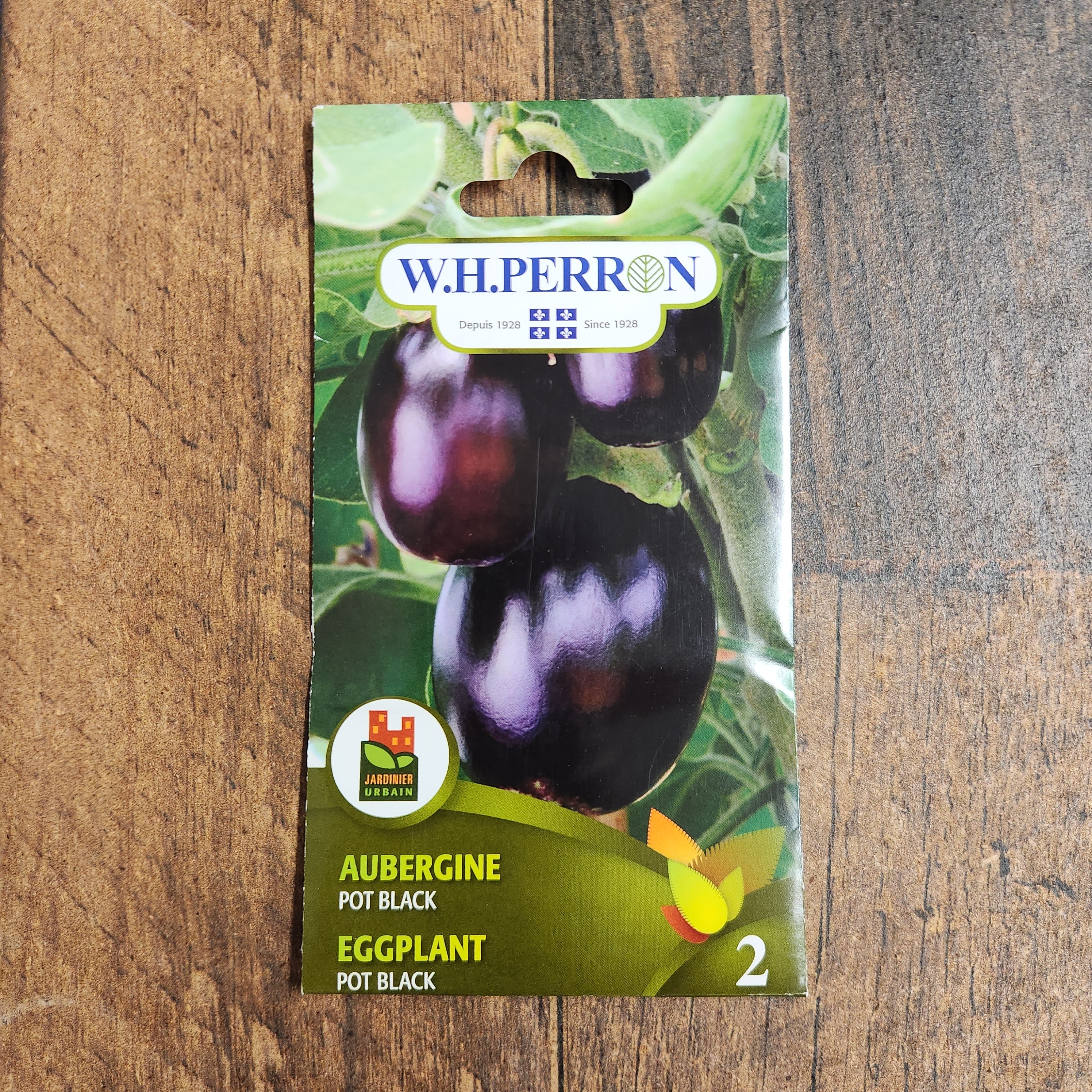 Aubergine 'Pot Black' - Image 2