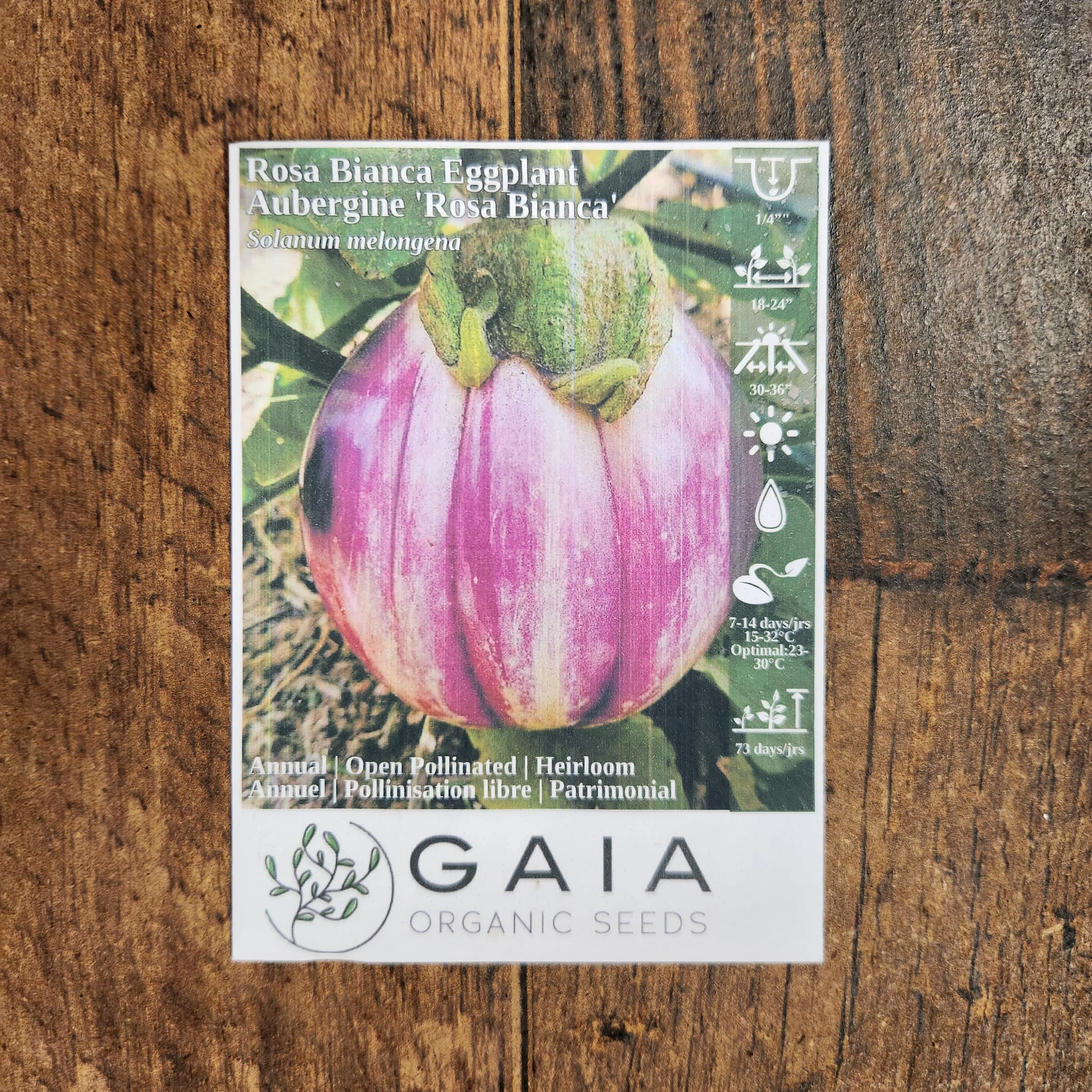 Aubergine 'Rosa Bianca' bio - Image 2
