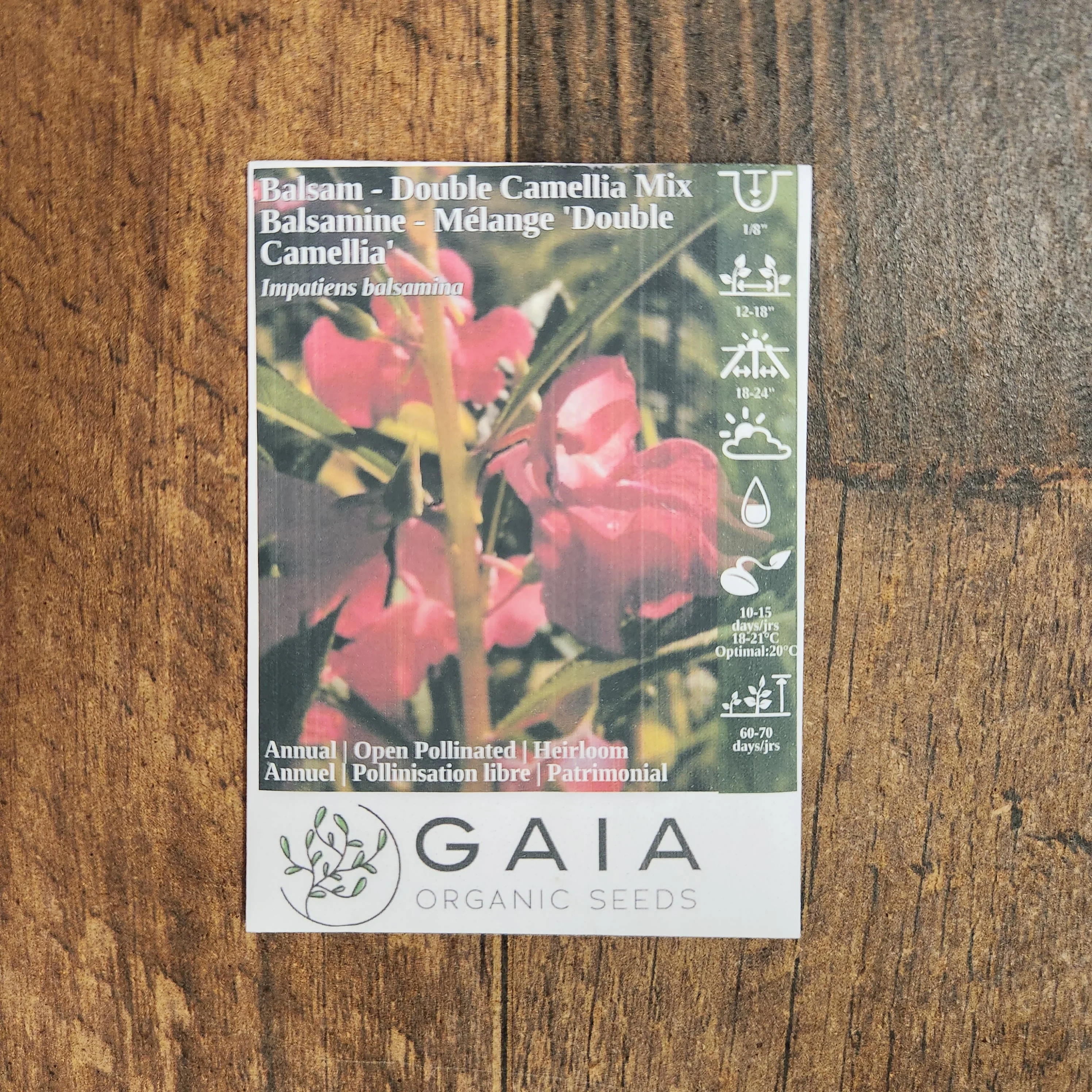 Balsamine 'Double Camellia Mix' bio - Image 2