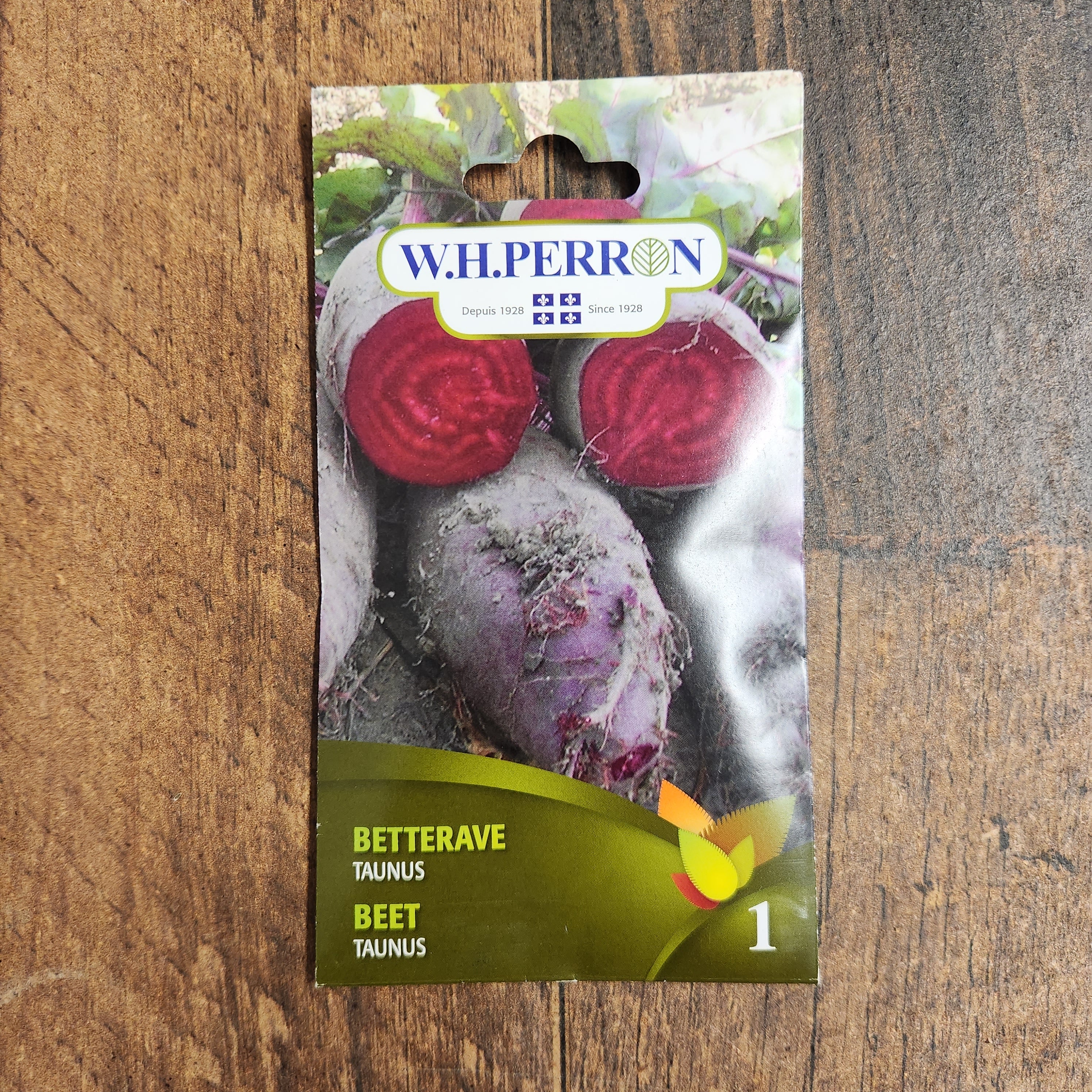 Betterave 'Taunus' - Image 2