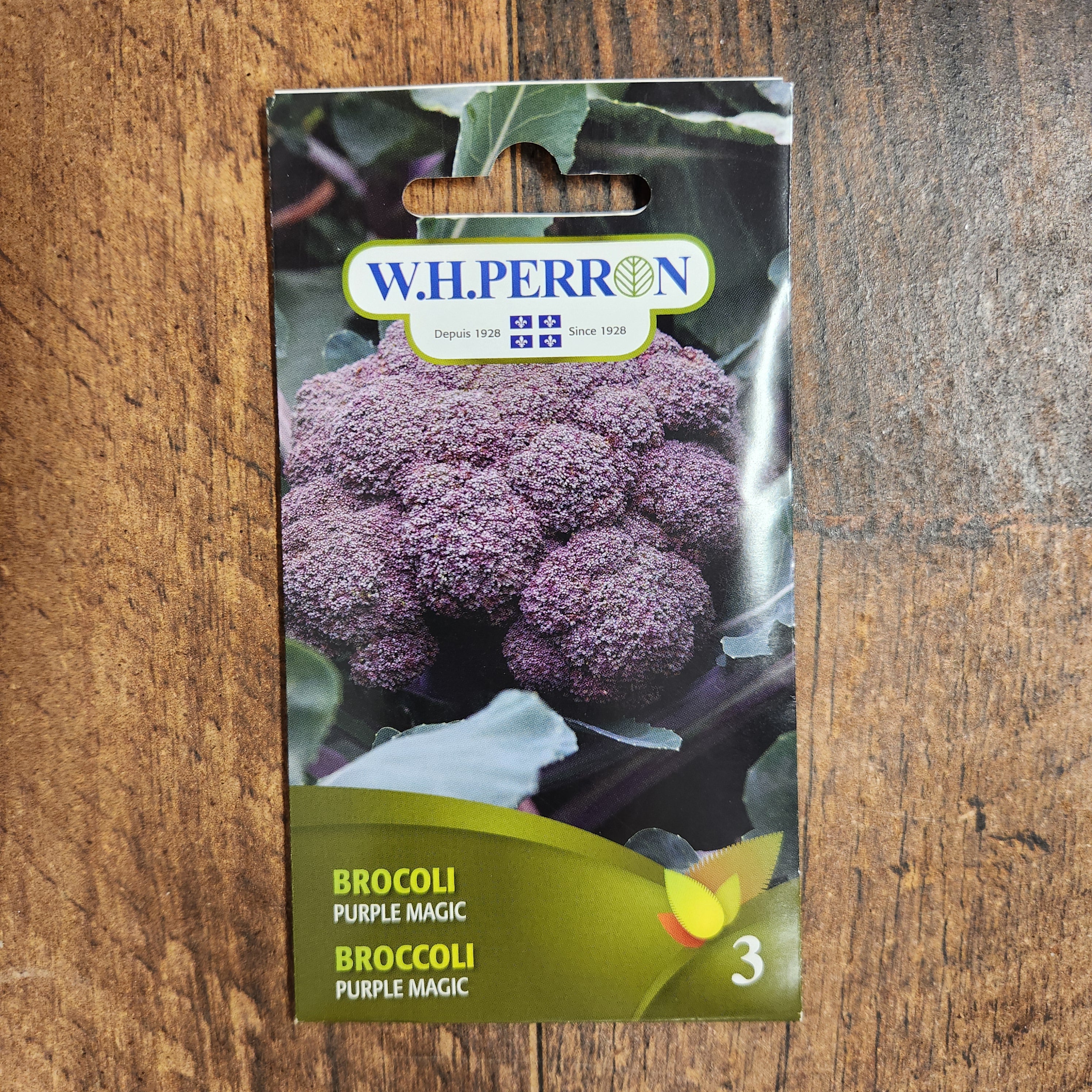 Brocoli 'Purple Magic' - Image 2