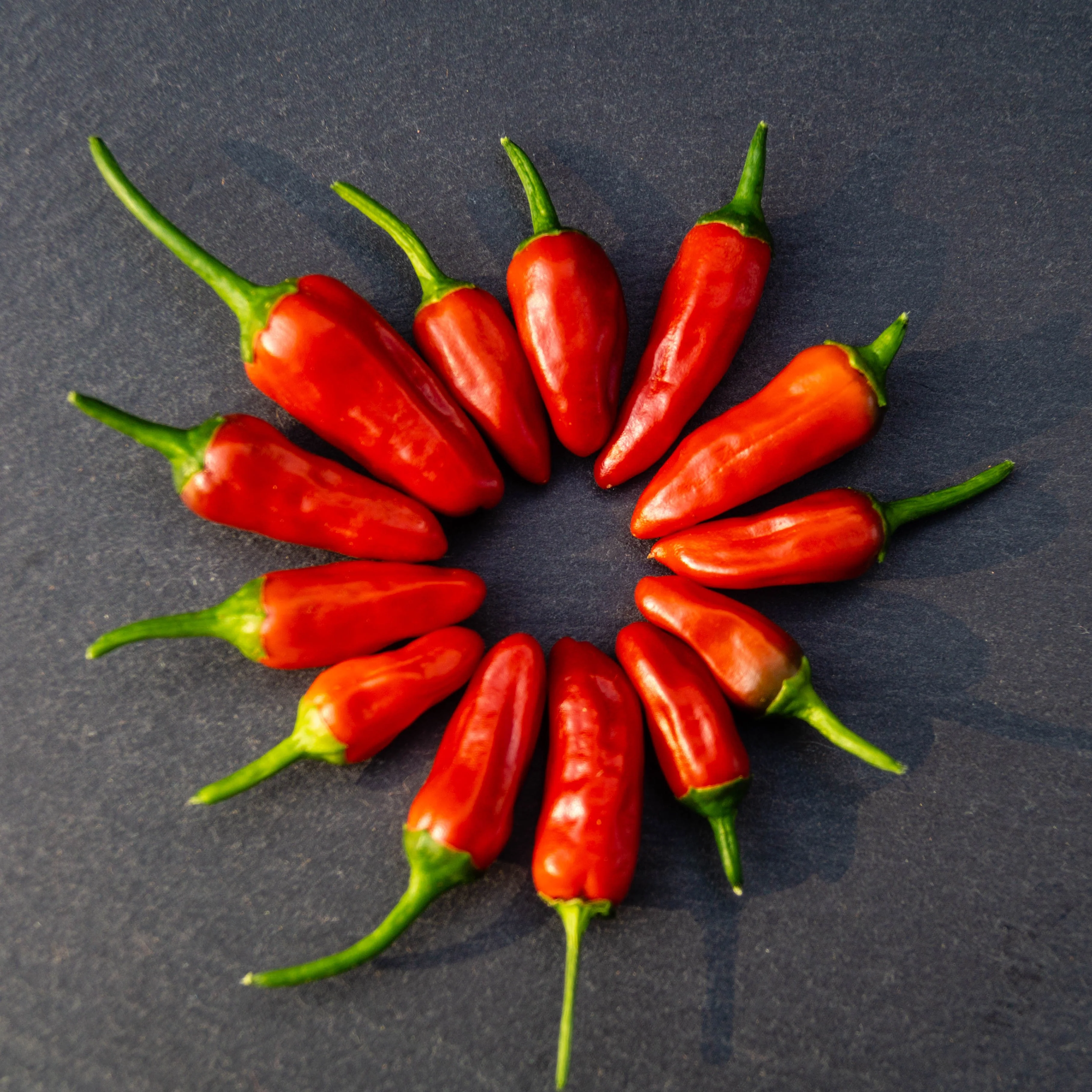 Piment fort 'Piri Piri' bio