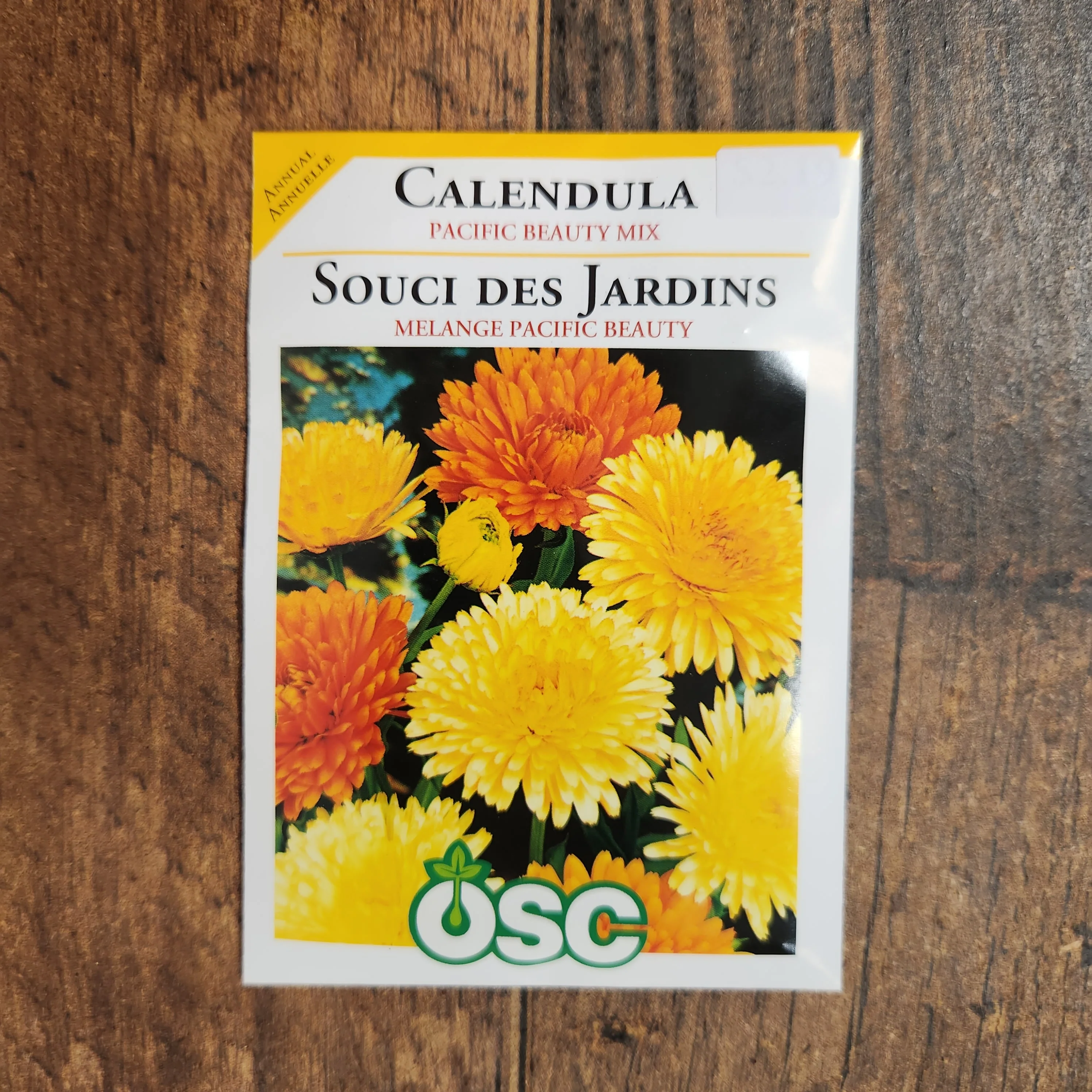 Calendule mélange 'Pacific Beauty' - Image 2