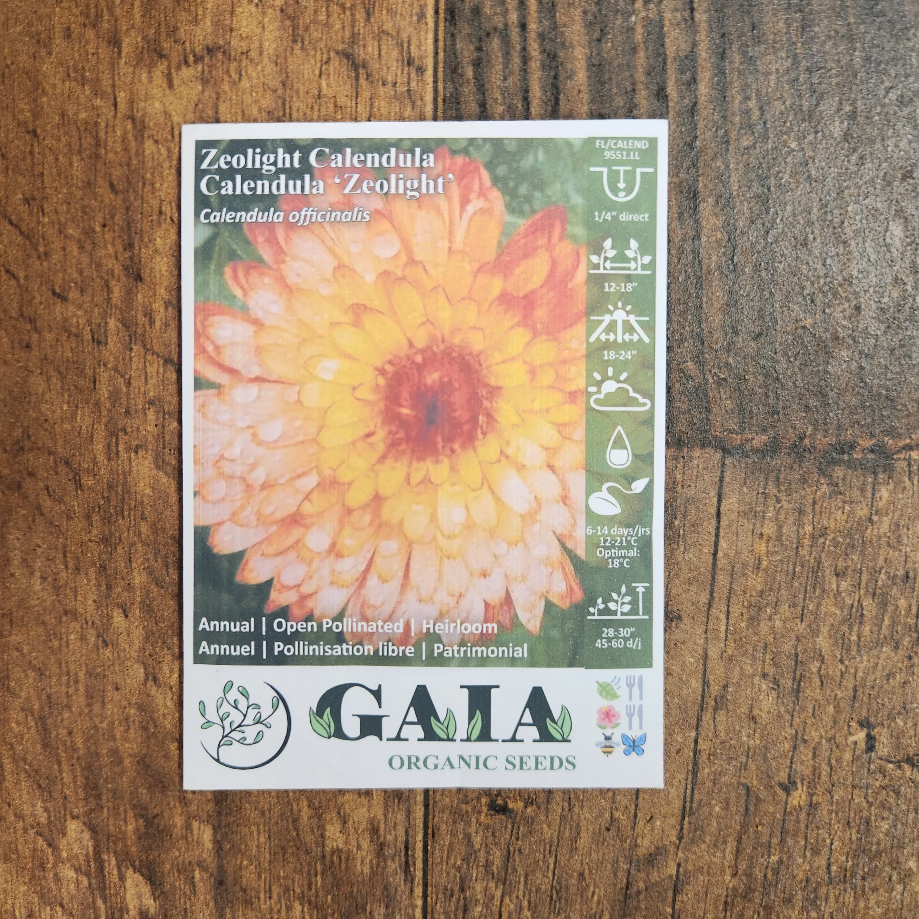 Calendule 'Zeolight' bio - Image 2
