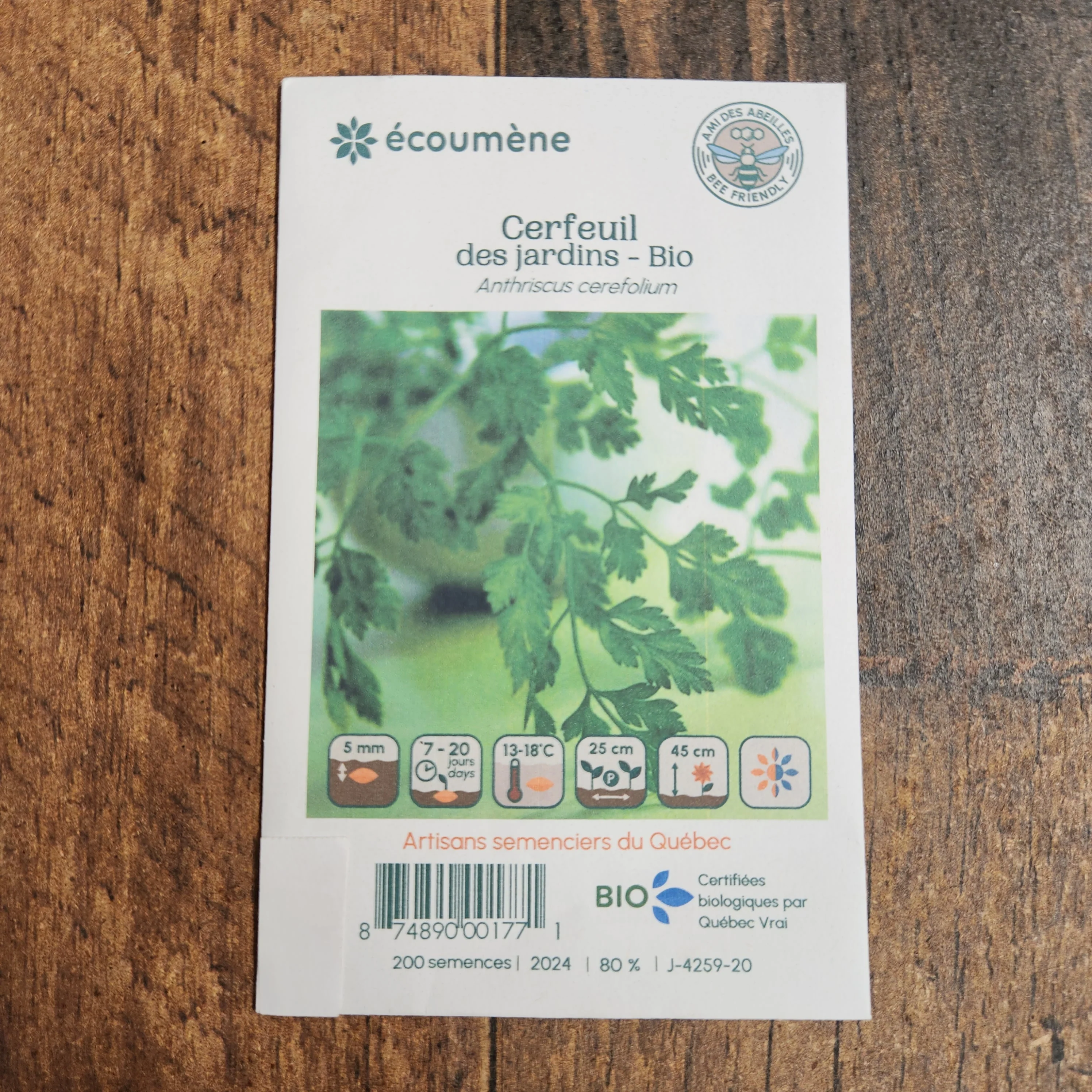 Cerfeuil des jardins bio - Image 2