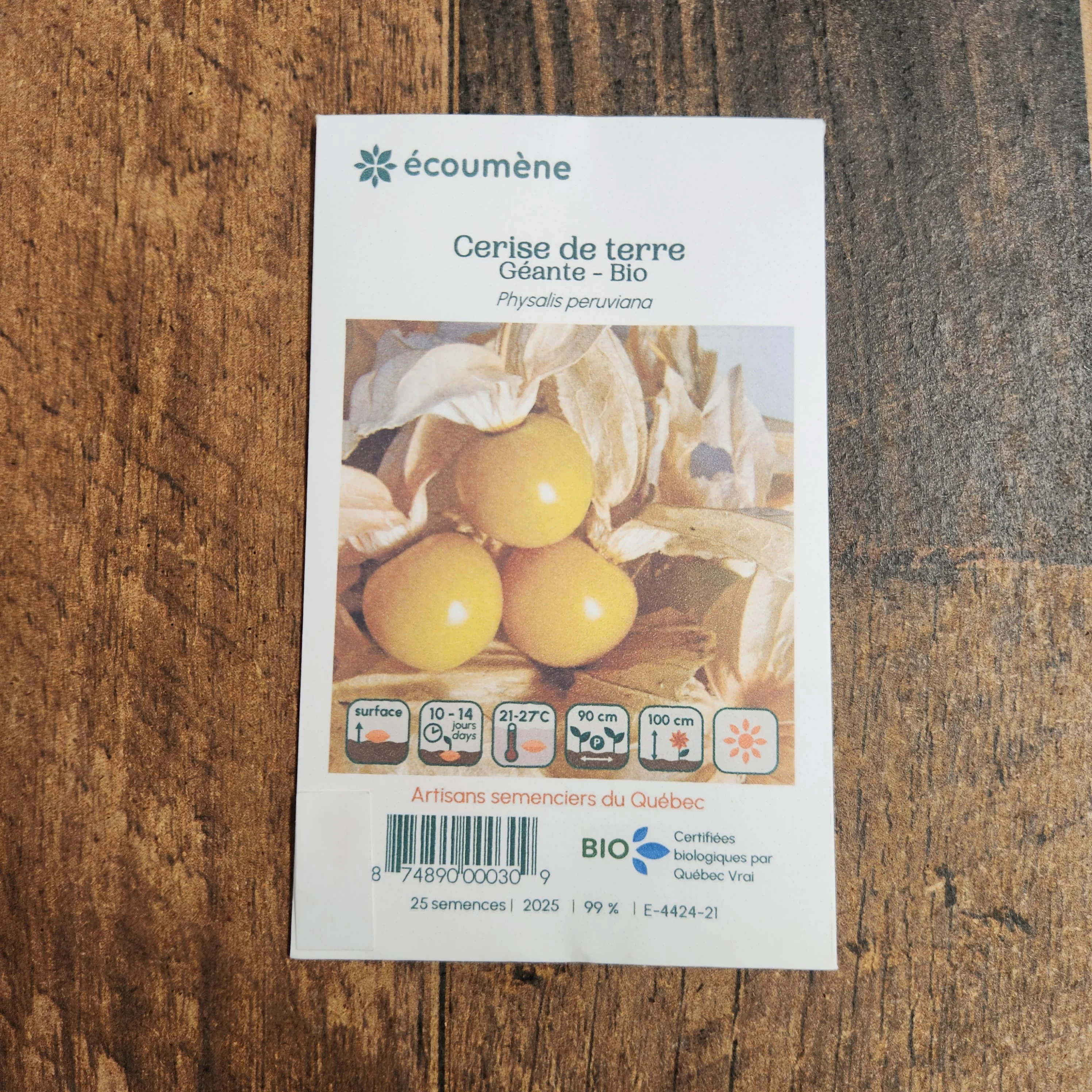 Cerise de terre géante bio - Image 2