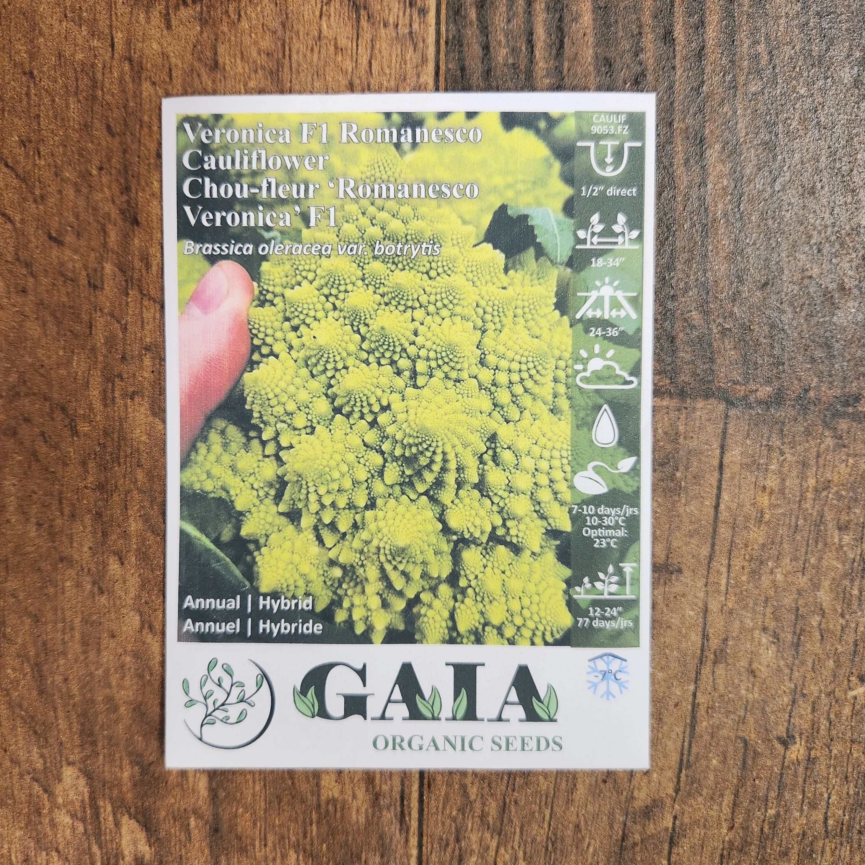 Chou-fleur 'Romanesco Veronica F1' bio - Image 2
