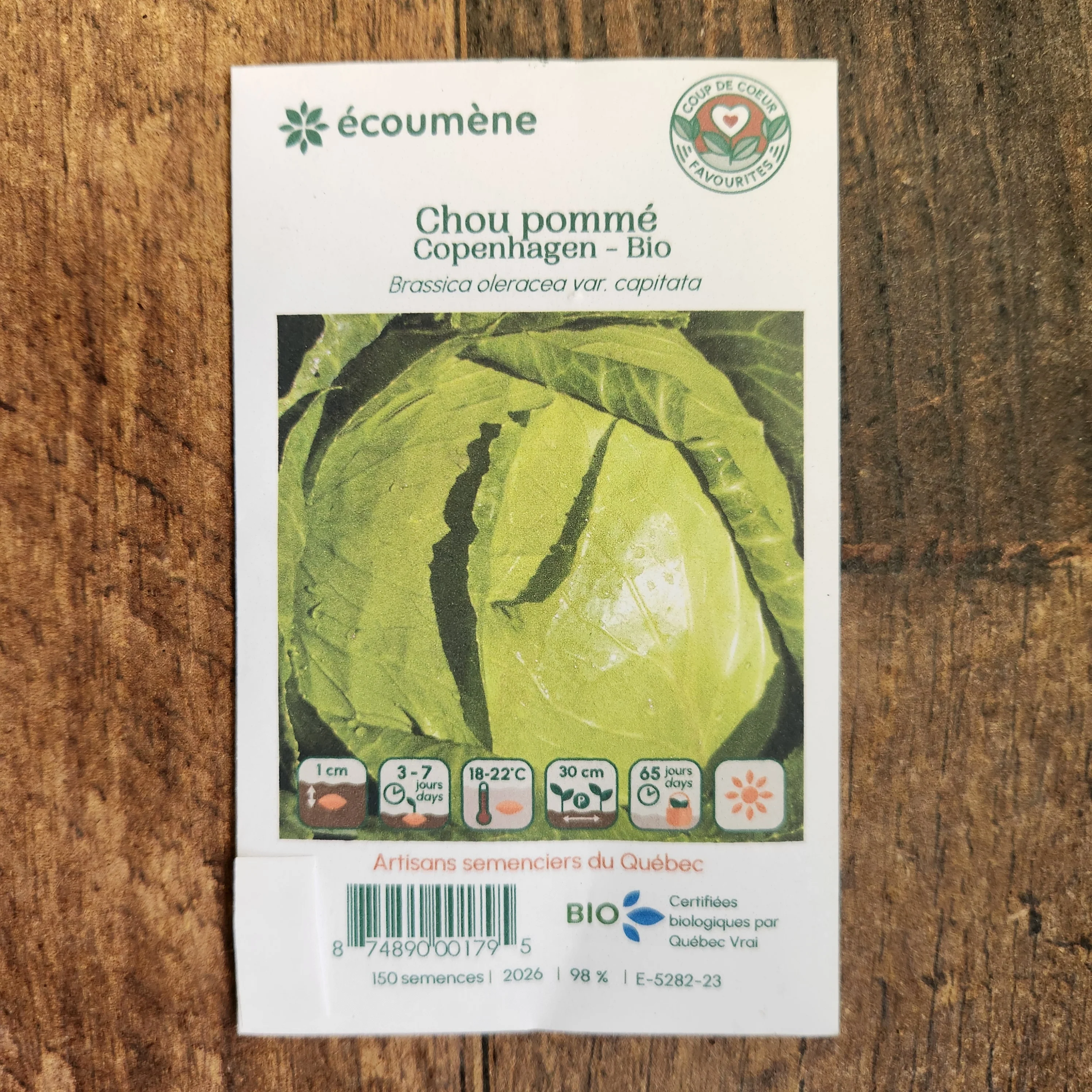 Chou pommé 'Copenhagen' bio - Image 2