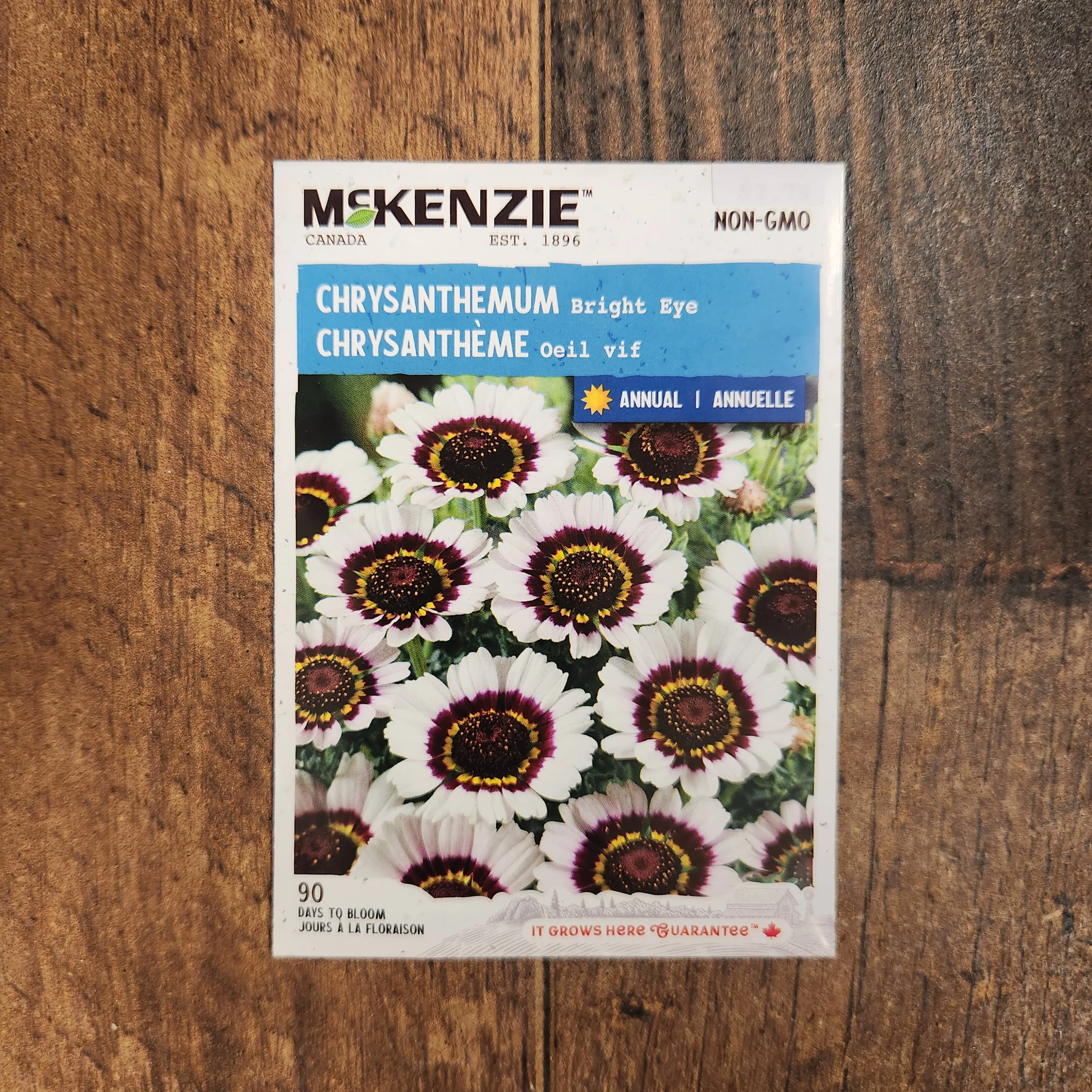 Chrysanthemum 'Bright Eye' - Image 2