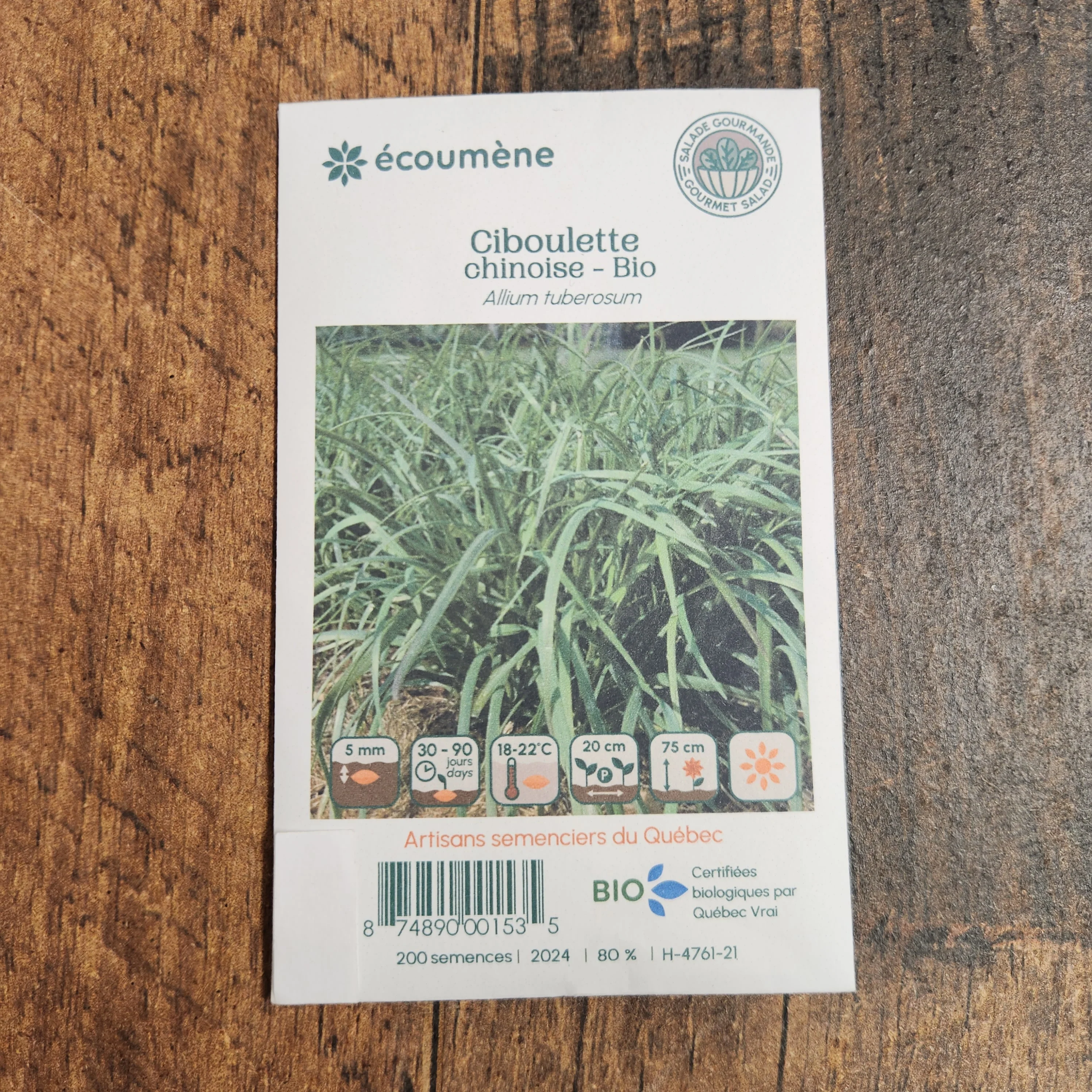 Ciboulette 'Chinoise' bio - Image 2