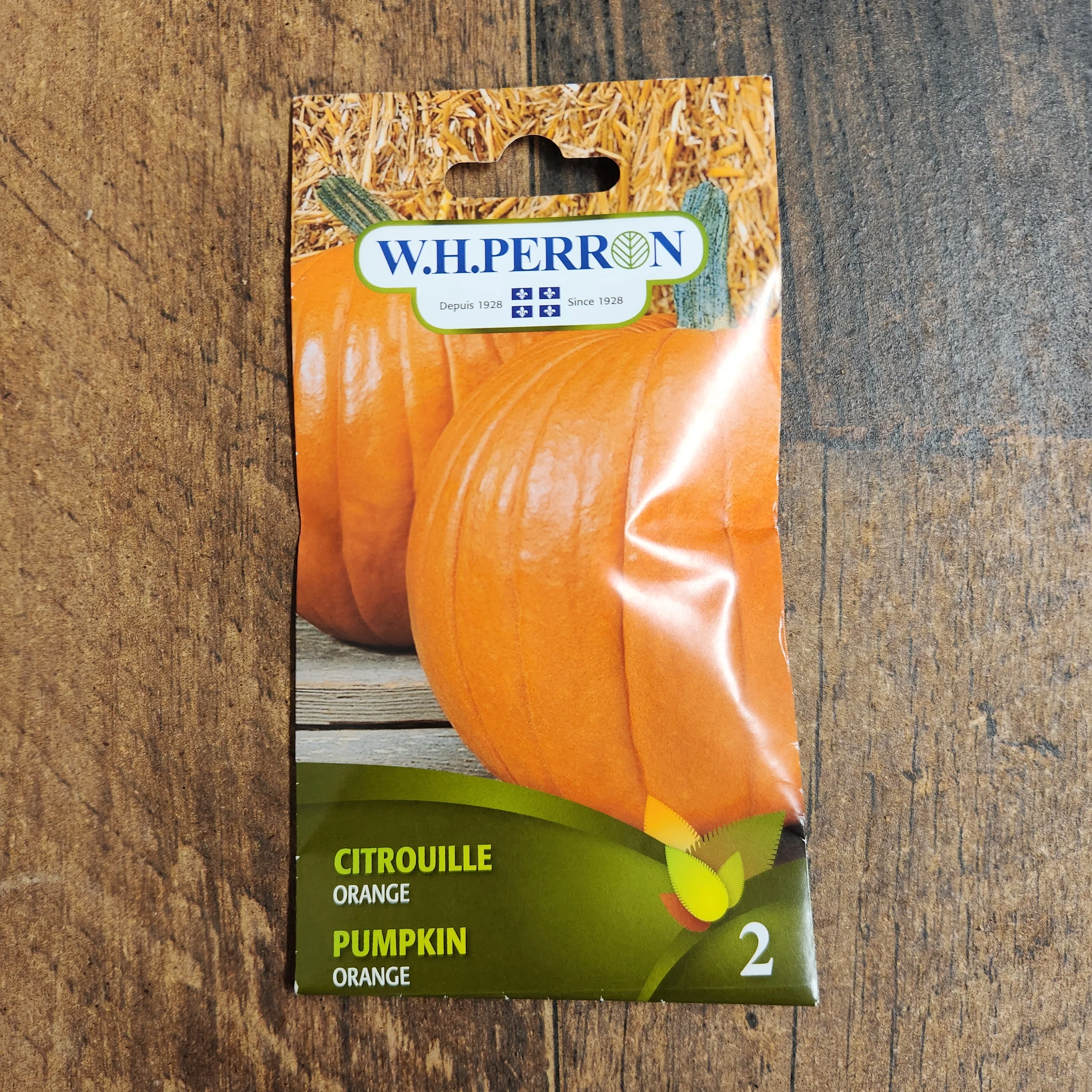 Citrouille orange - Image 2