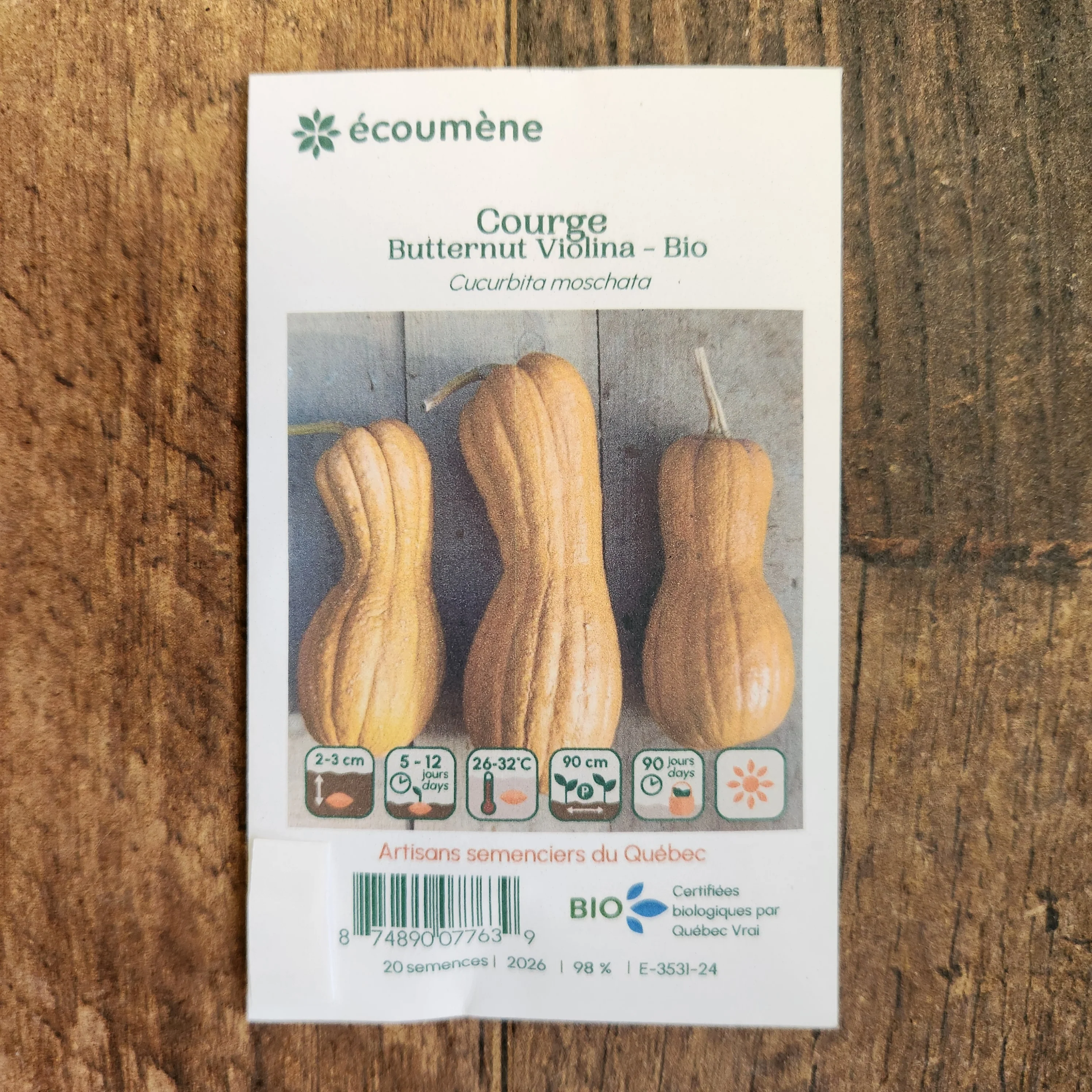 Courge butternut 'Violina' bio - Image 2
