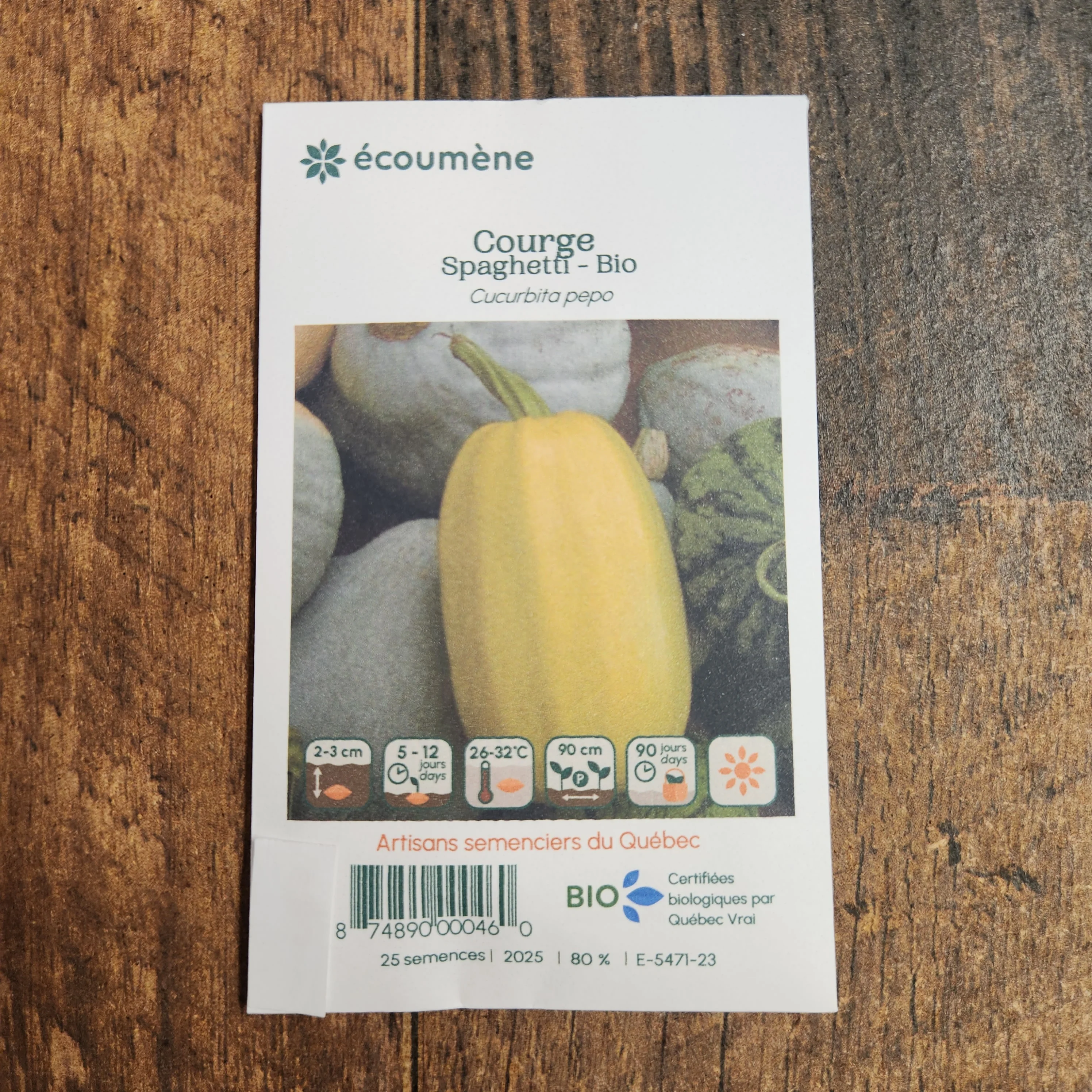 Courge 'Spaghetti' bio - Image 2
