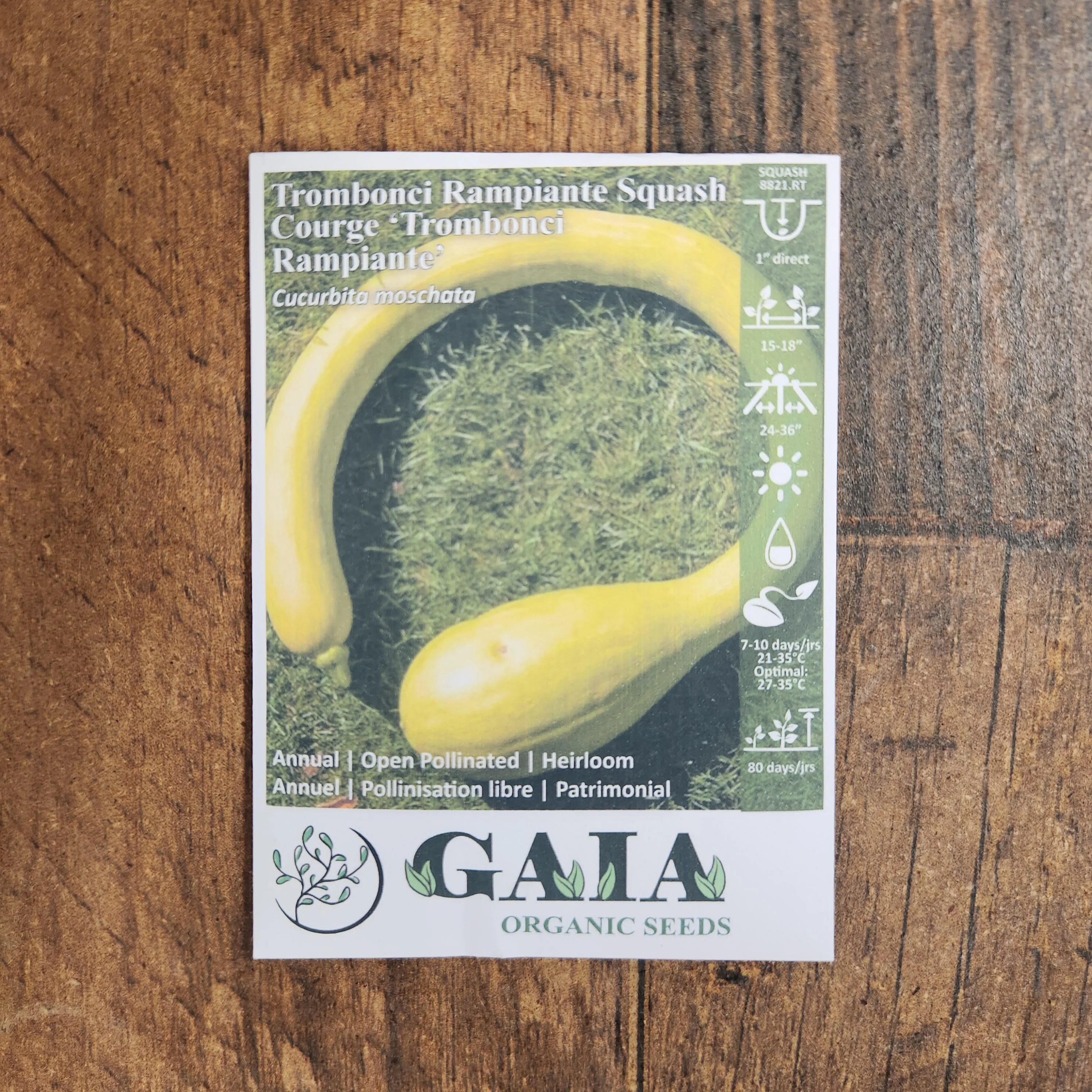 Courge 'Trombonci Rampiante' bio - Image 2