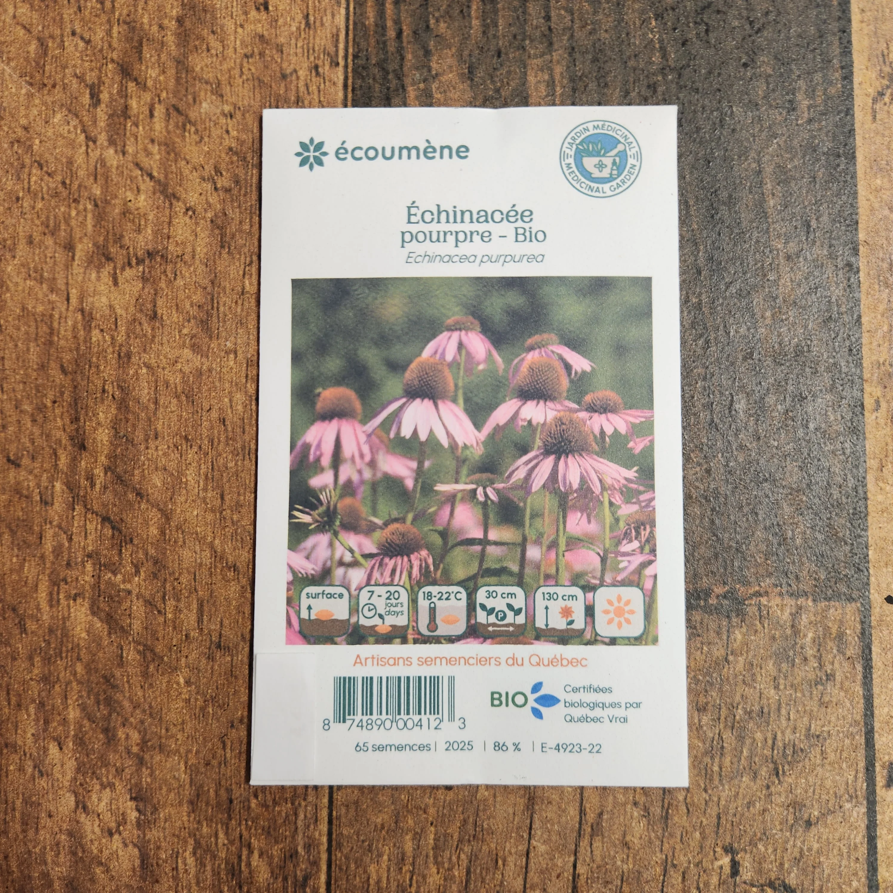 Échinacée Pourpre bio - Image 2