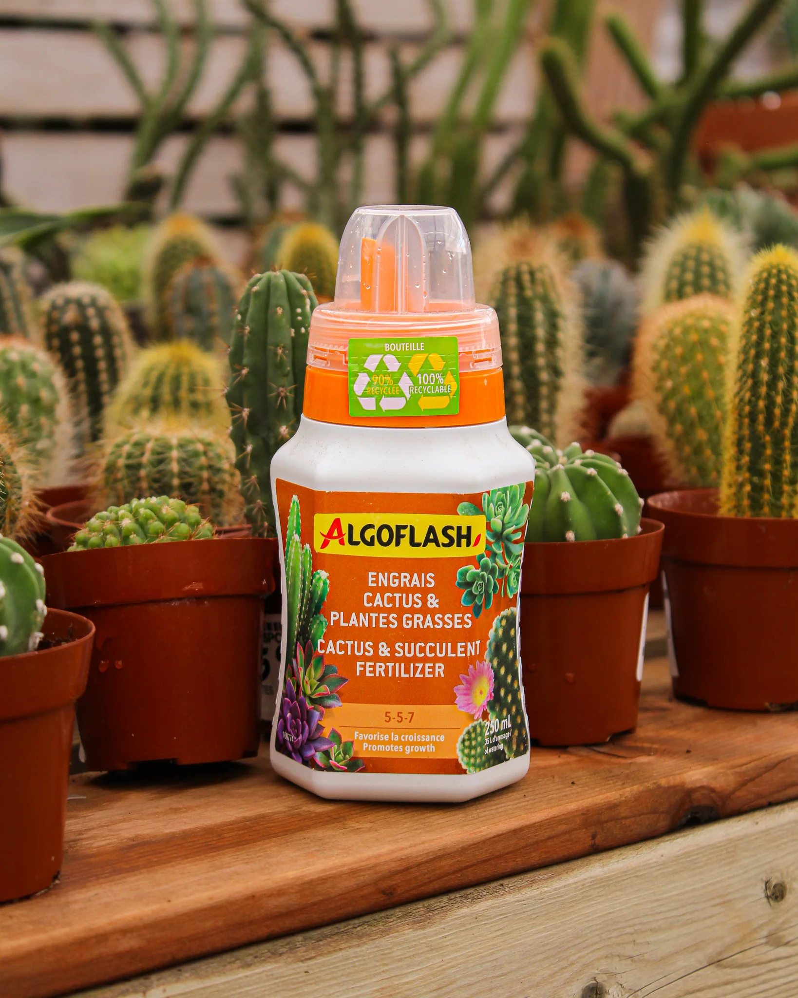 Engrais pour cactus et plantes grasses Algoflash 5-5-7