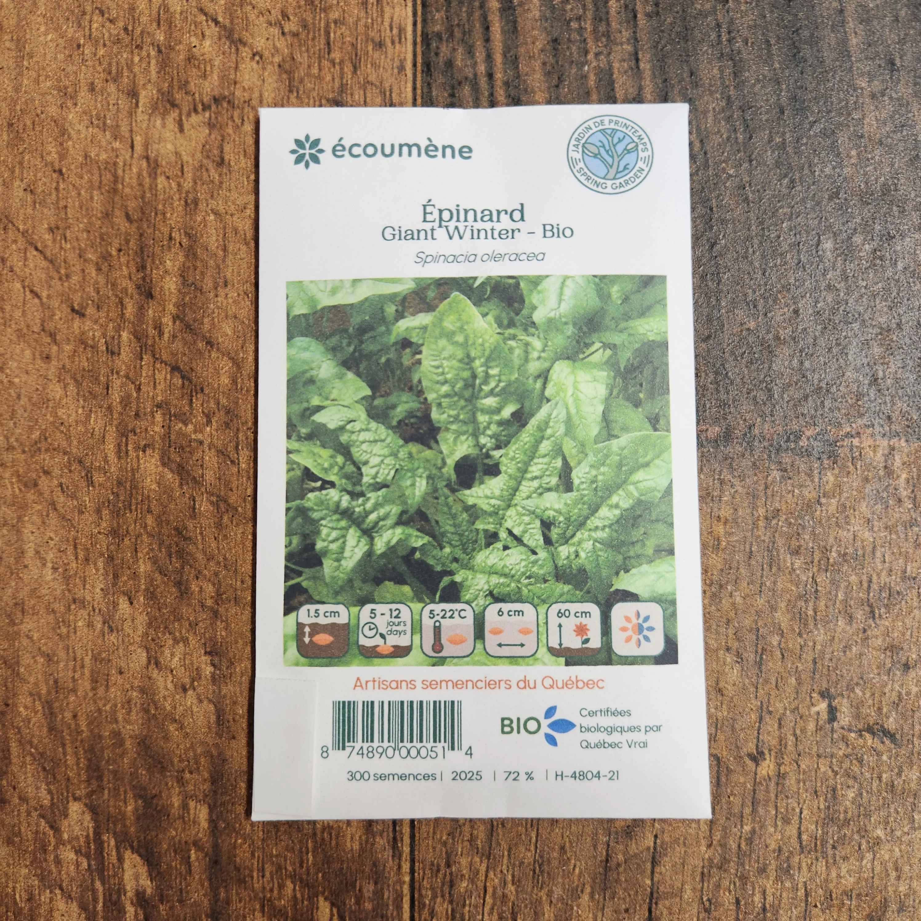Ăpinard 'Giant Winter' bio - Image 2