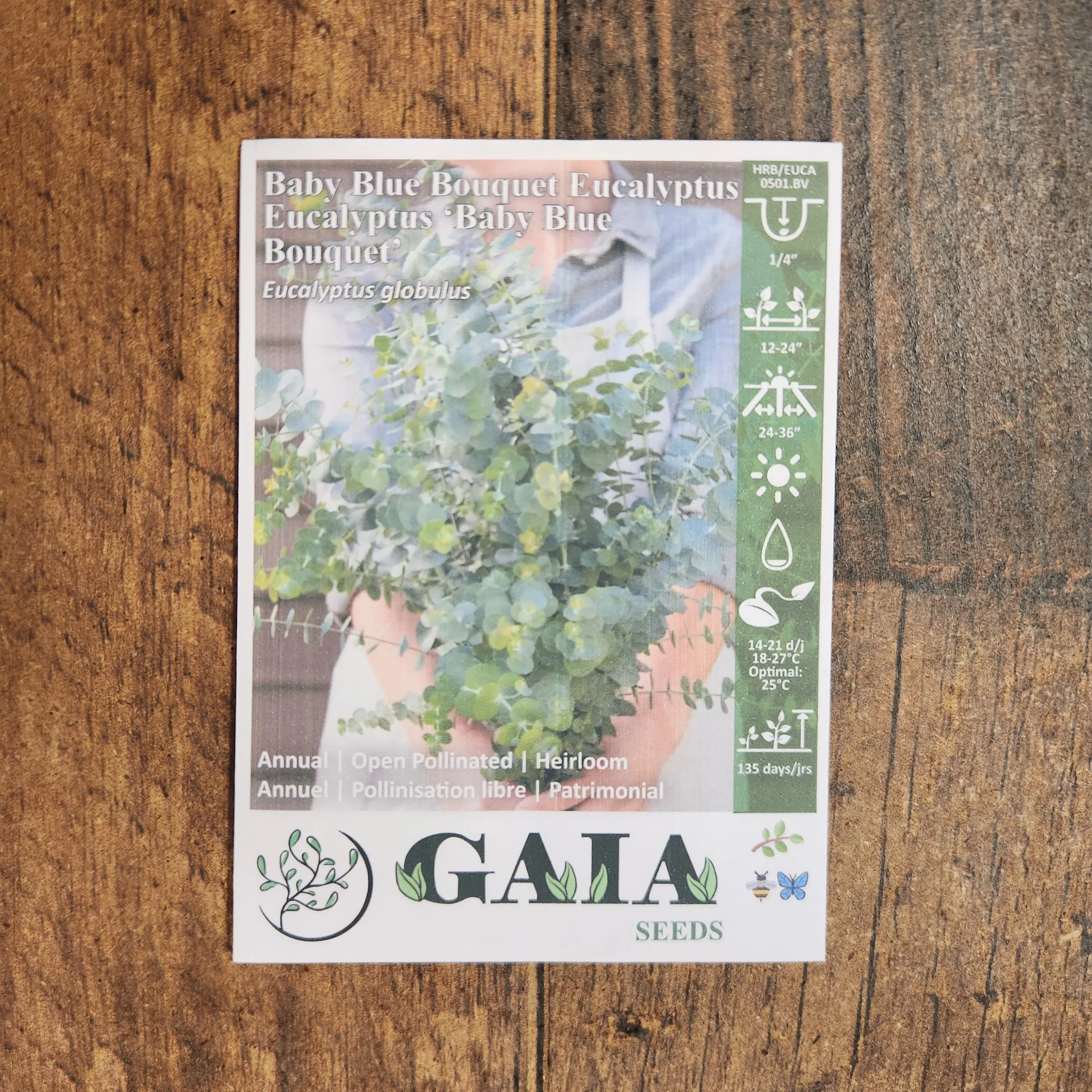 Eucalyptus 'Baby Blue Bouquet' bio - Image 2