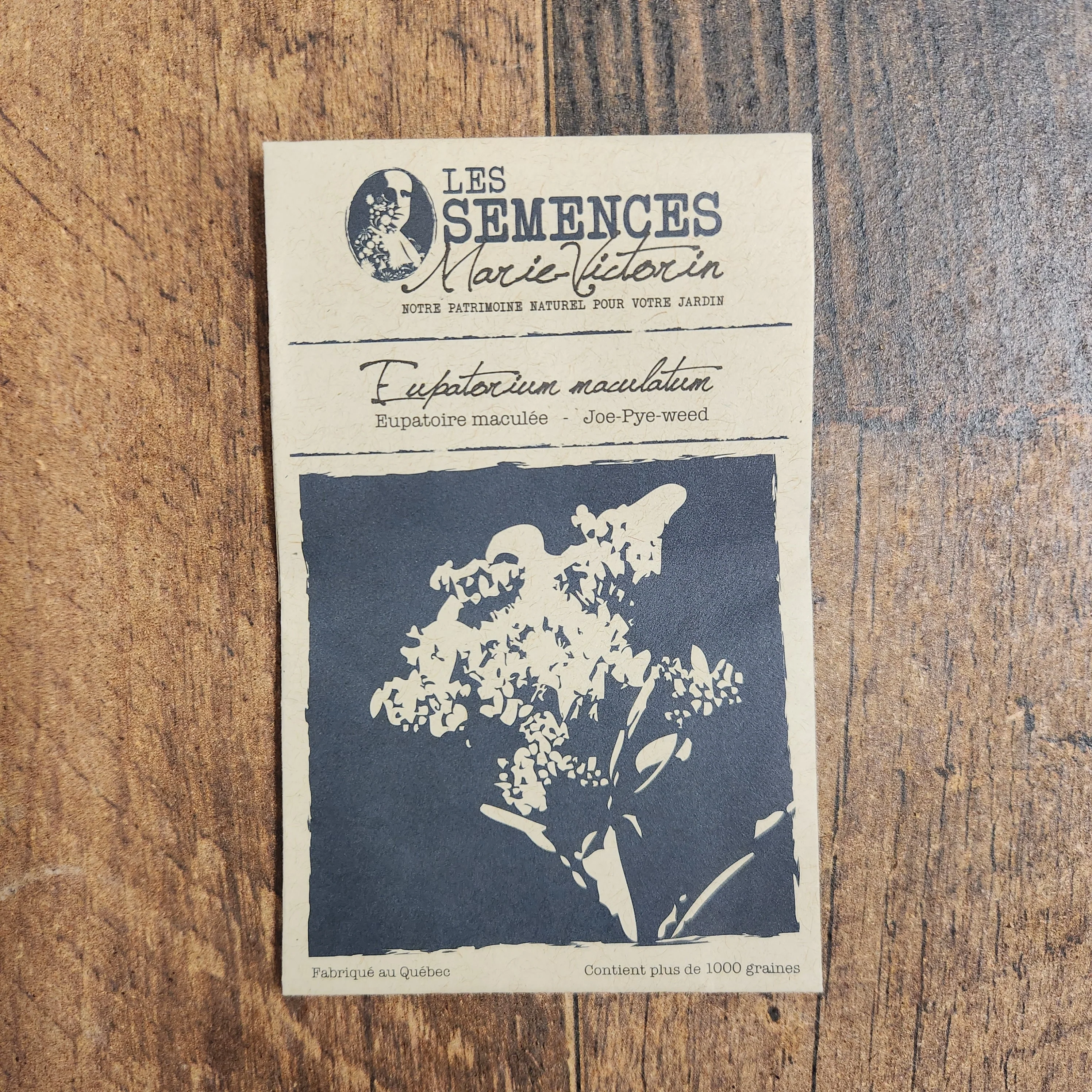 Eupatoire maculée - Image 2