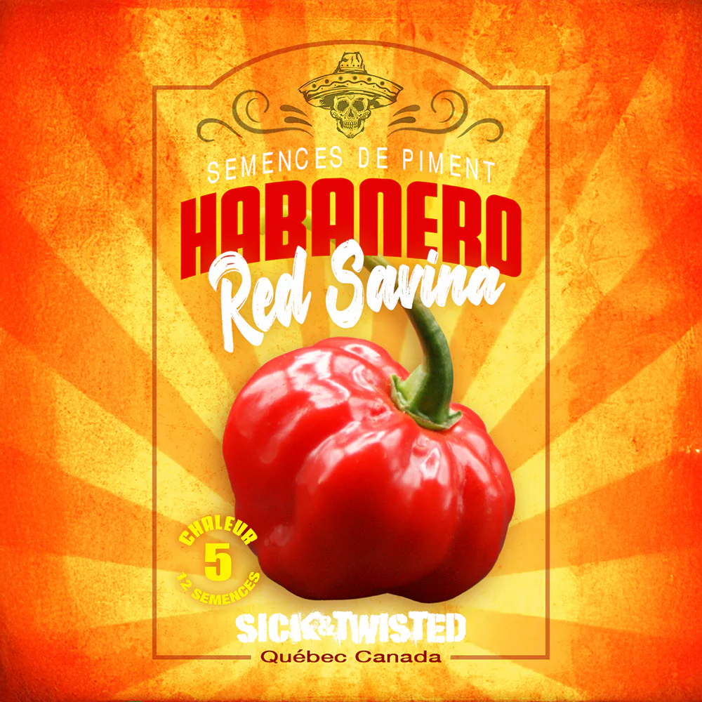 Piment fort 'Habanero Red Savina'