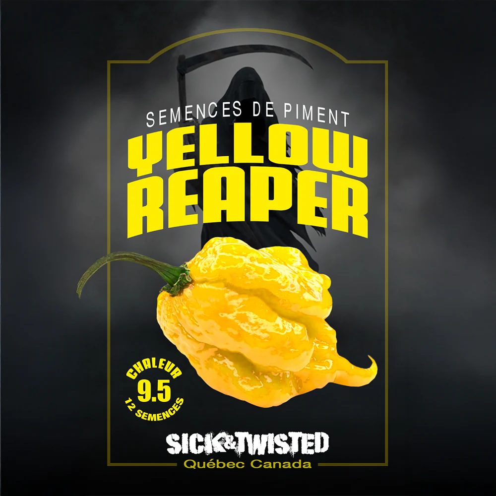 Piment fort 'Reaper Jaune'