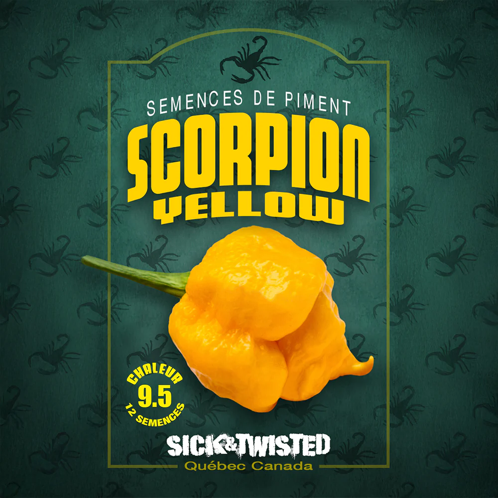 Piment fort 'Scorpion Jaune'