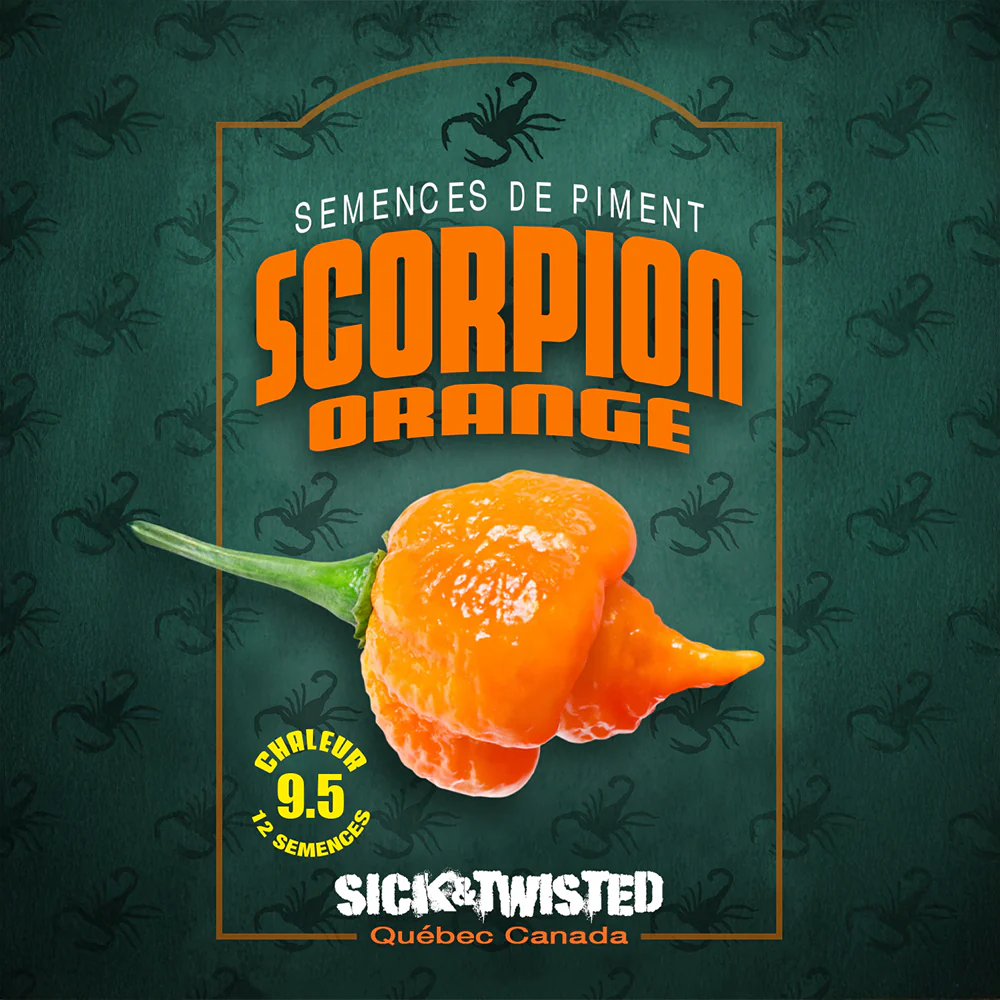 Piment fort 'Scorpion Orange'