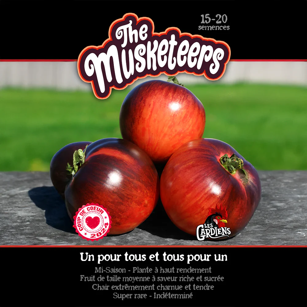 Tomate 'The Musketeers'