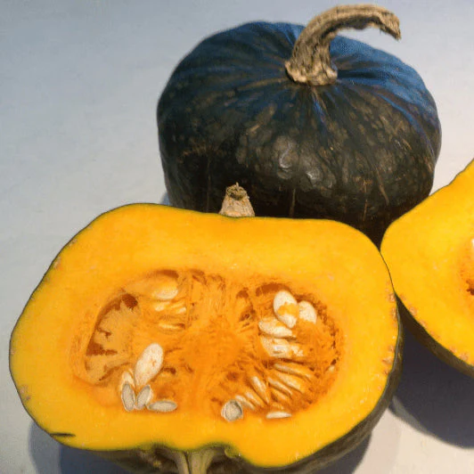 Courge buttercup 'Burgess Buttercup' bio