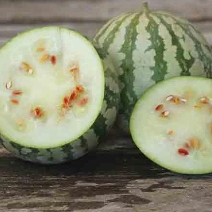 Melon d'eau 'Citron Red Seeded' bio