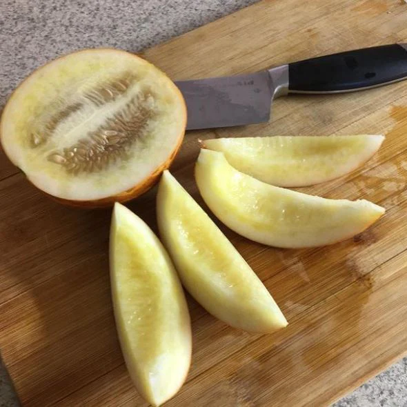 Melon 'Tigger' bio - Image 2
