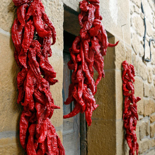 Piment fort 'Pimento Chericero' bio