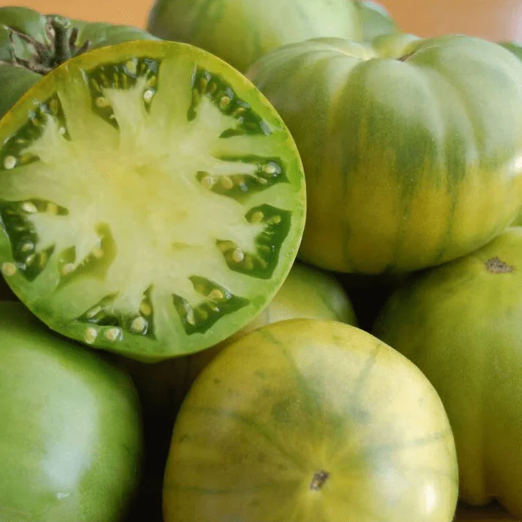 Tomate 'Aunt Ruby German Green' bio