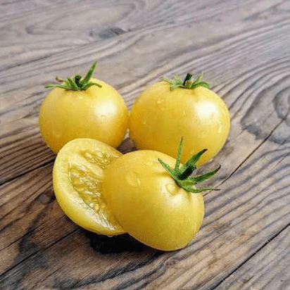 Tomate 'Barossa Fest Dwarf' bio