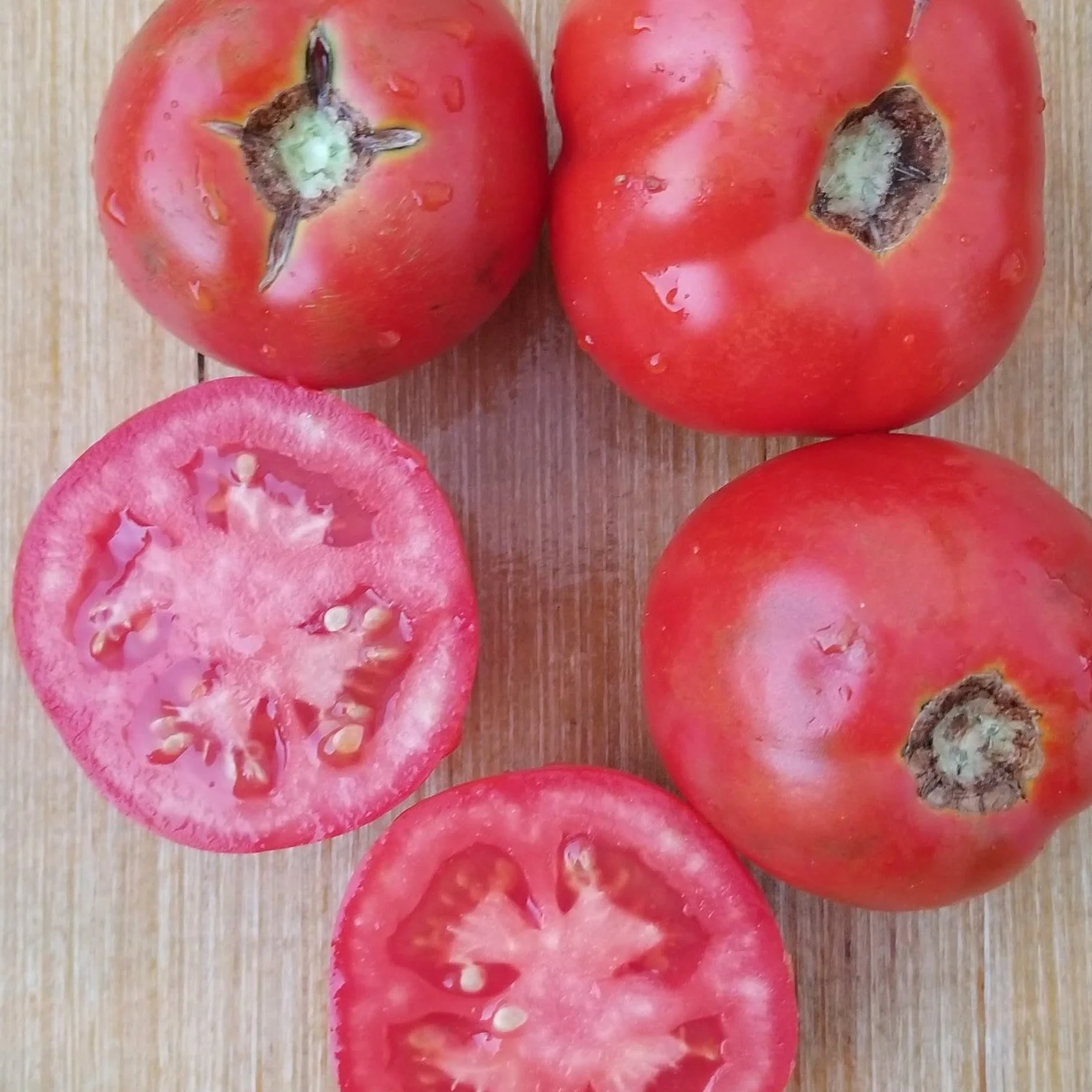Tomate 'Bizhiki' bio