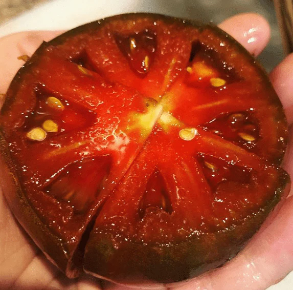 Tomate 'Black Krim' bio - Image 2