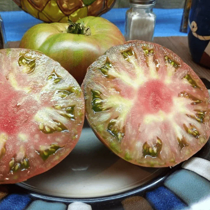 Tomate 'Gary O'Sena' bio