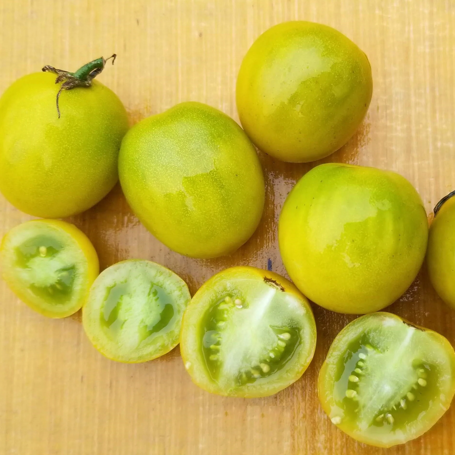 Tomate 'Green Grape' bio