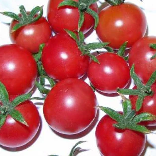 Tomate 'Napa Rose' bio