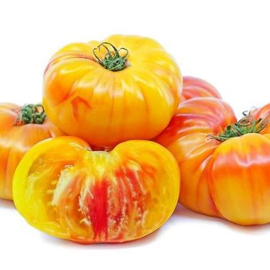 Tomate 'Oaxacan Jewel Beefsteak' bio