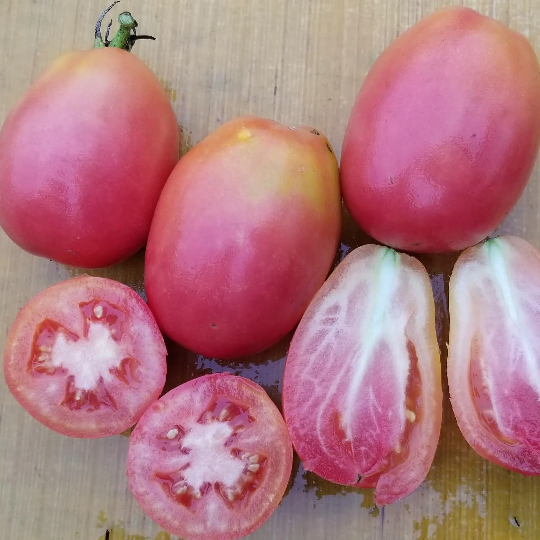 Tomate 'Purple Russian' bio