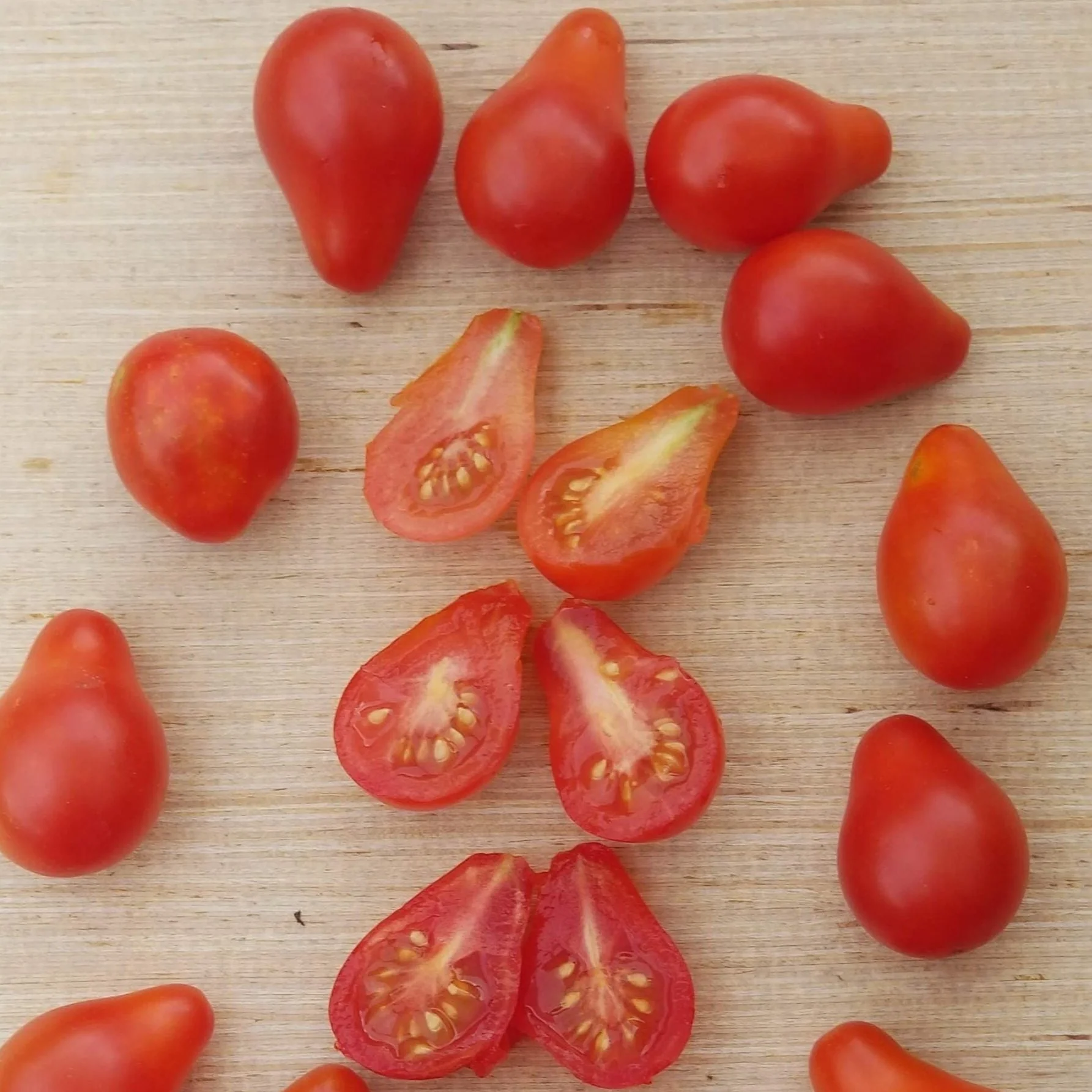 Tomate 'Red Pear' bio