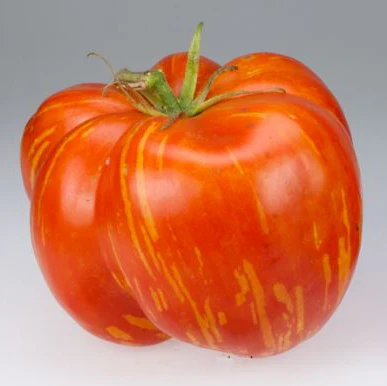 Tomate 'Striped Cavern' bio