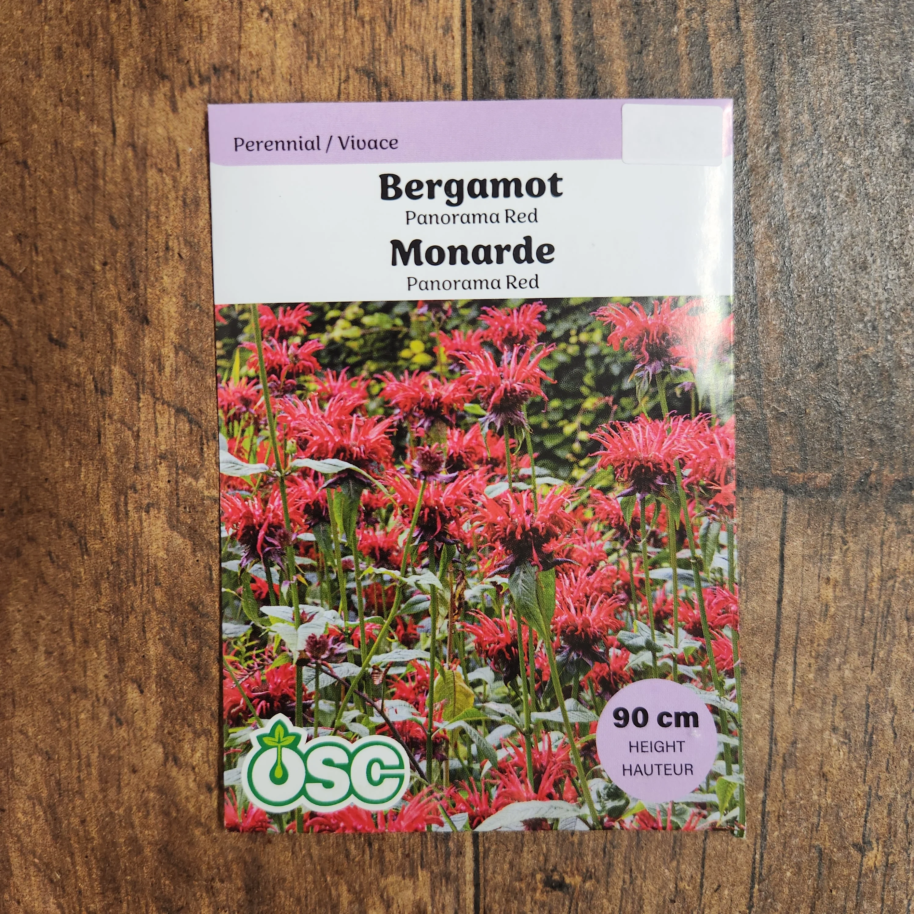 Bergamote rouge 'Panorama' - Image 2