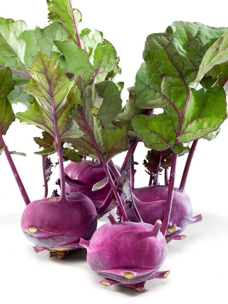 Chou-rave mauve 'De Vienne'