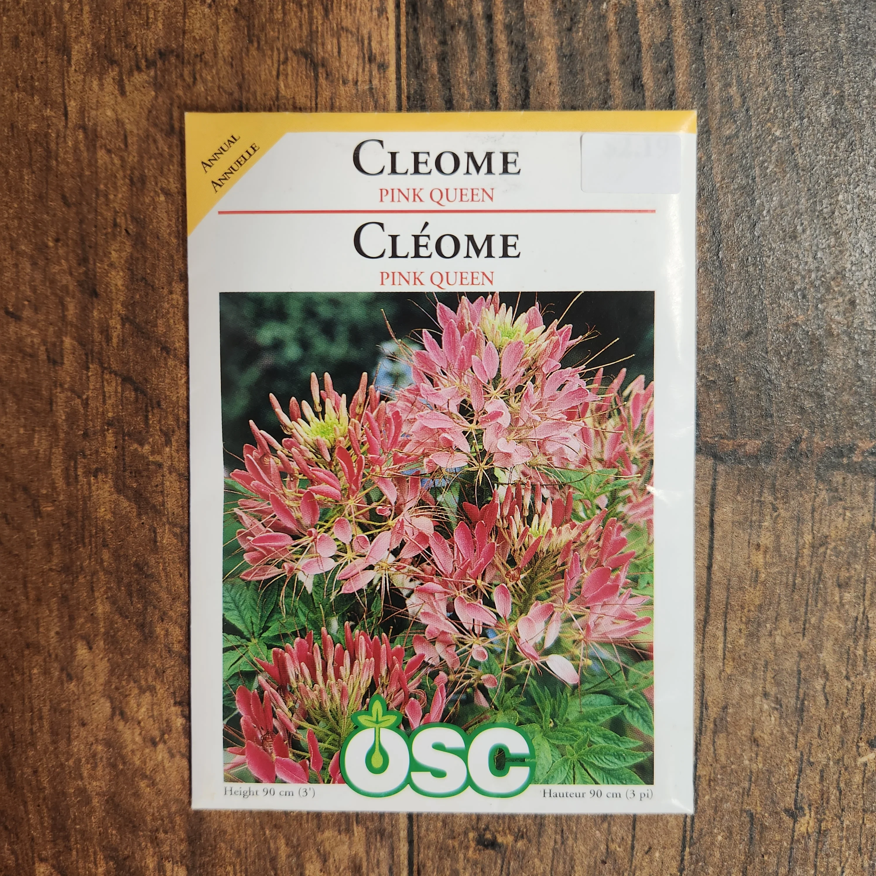 Cléome 'Reine rose' - Image 2