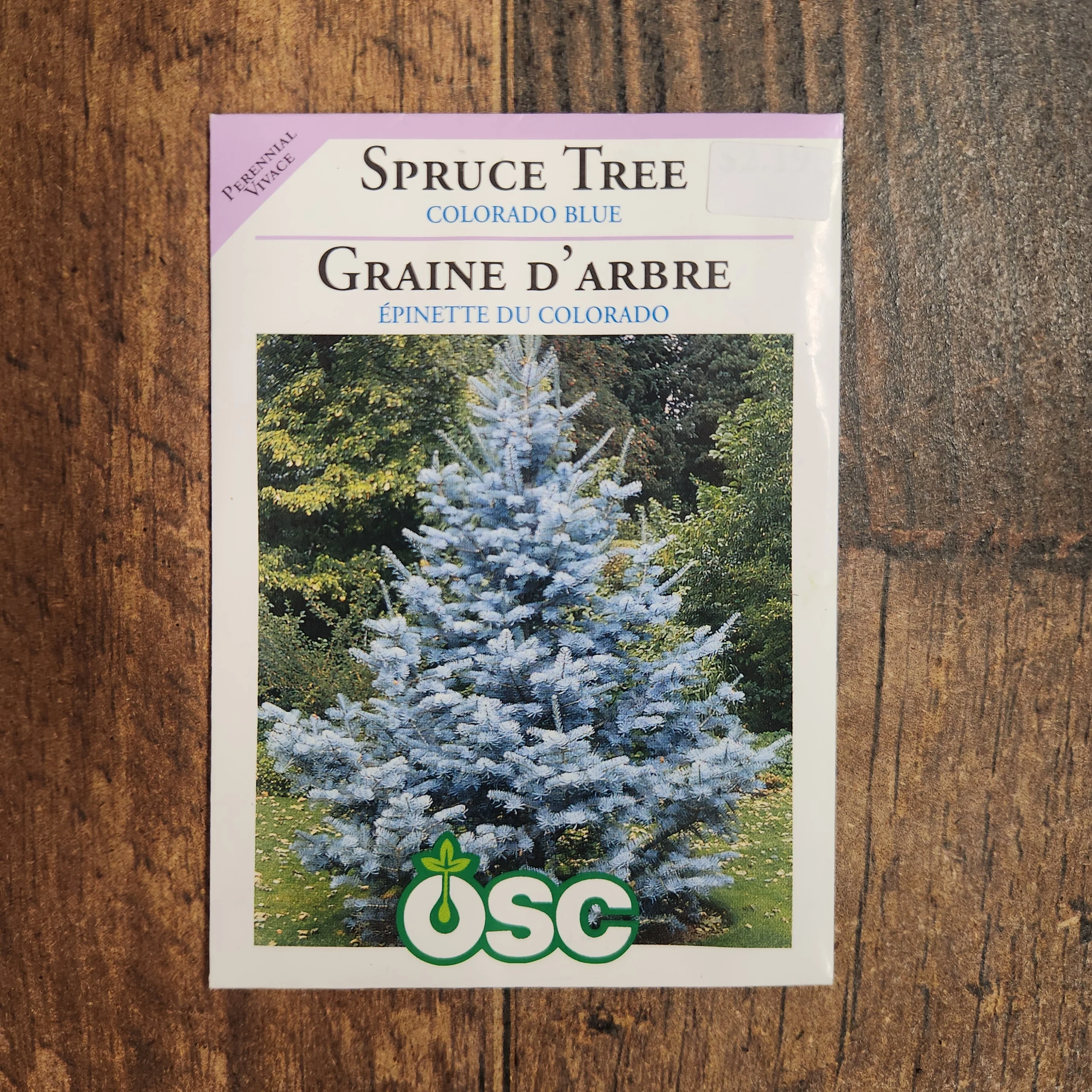 Ăpinette bleue du Colorado - Image 2